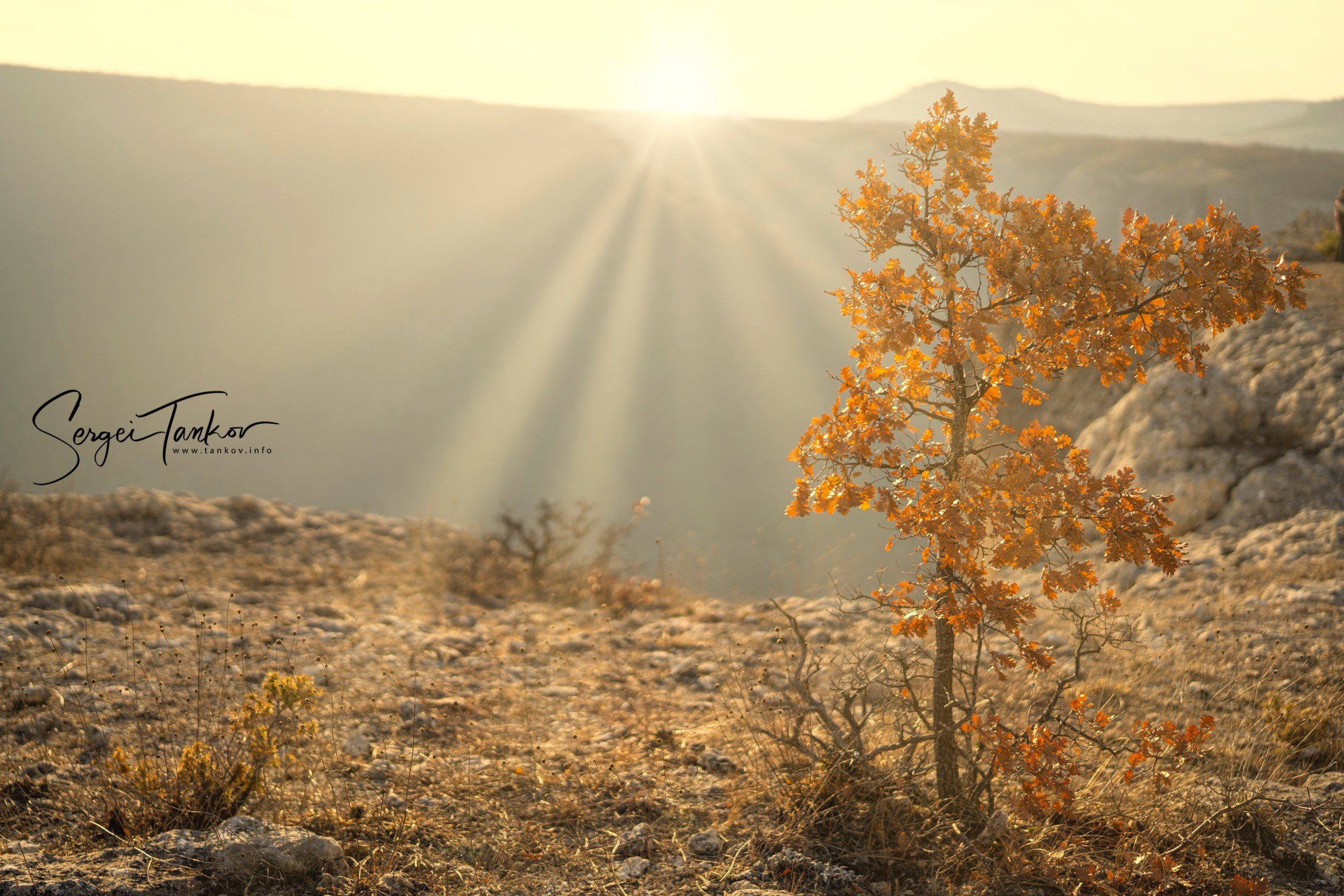 Крым (январь 2020). Фотограф Сергей Танков