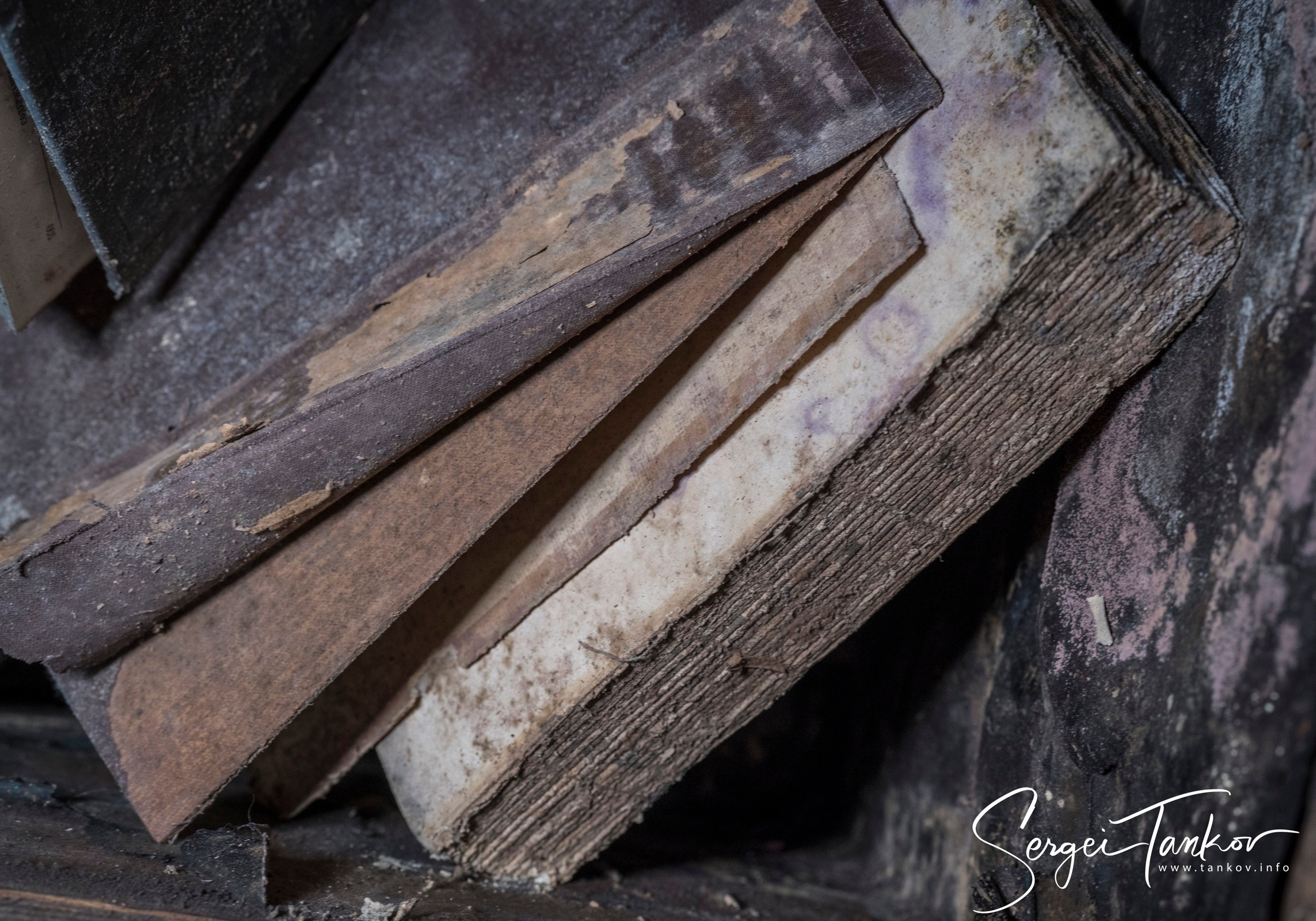 Владивосток (сентябрь 2019). Фотограф Сергей Танков