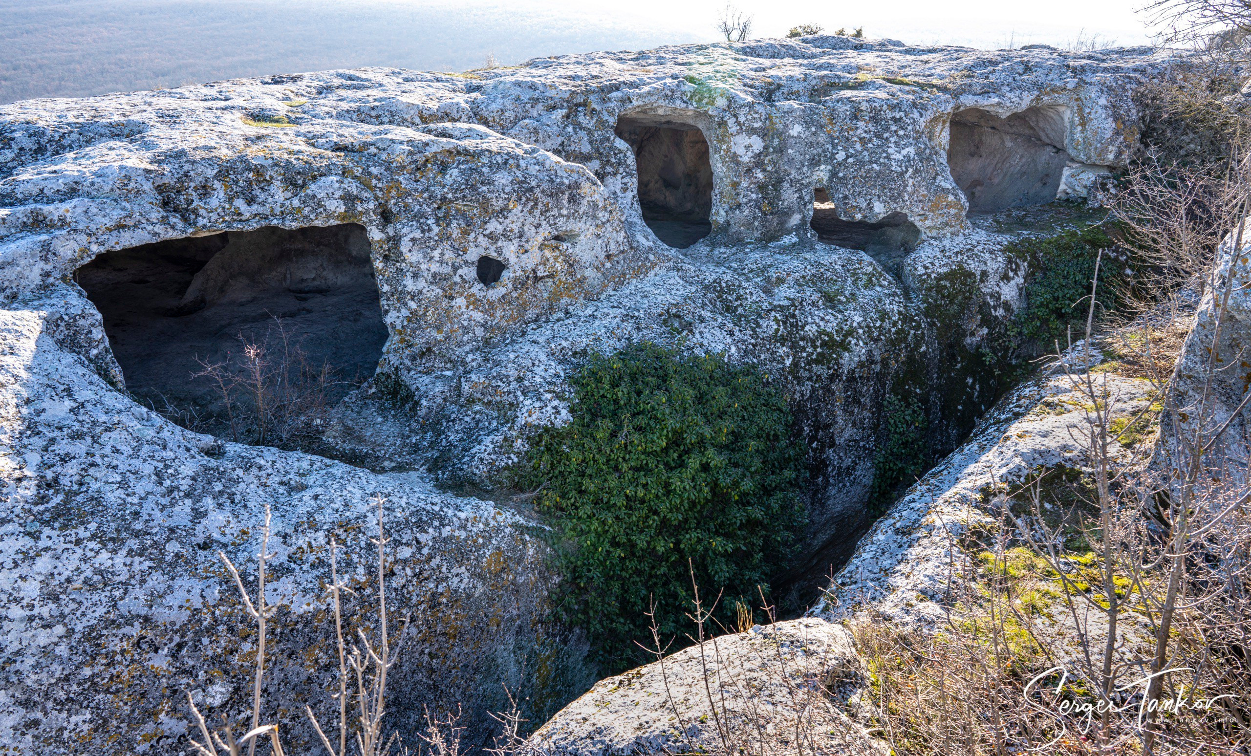 Крым (январь 2020). Фотограф Сергей Танков