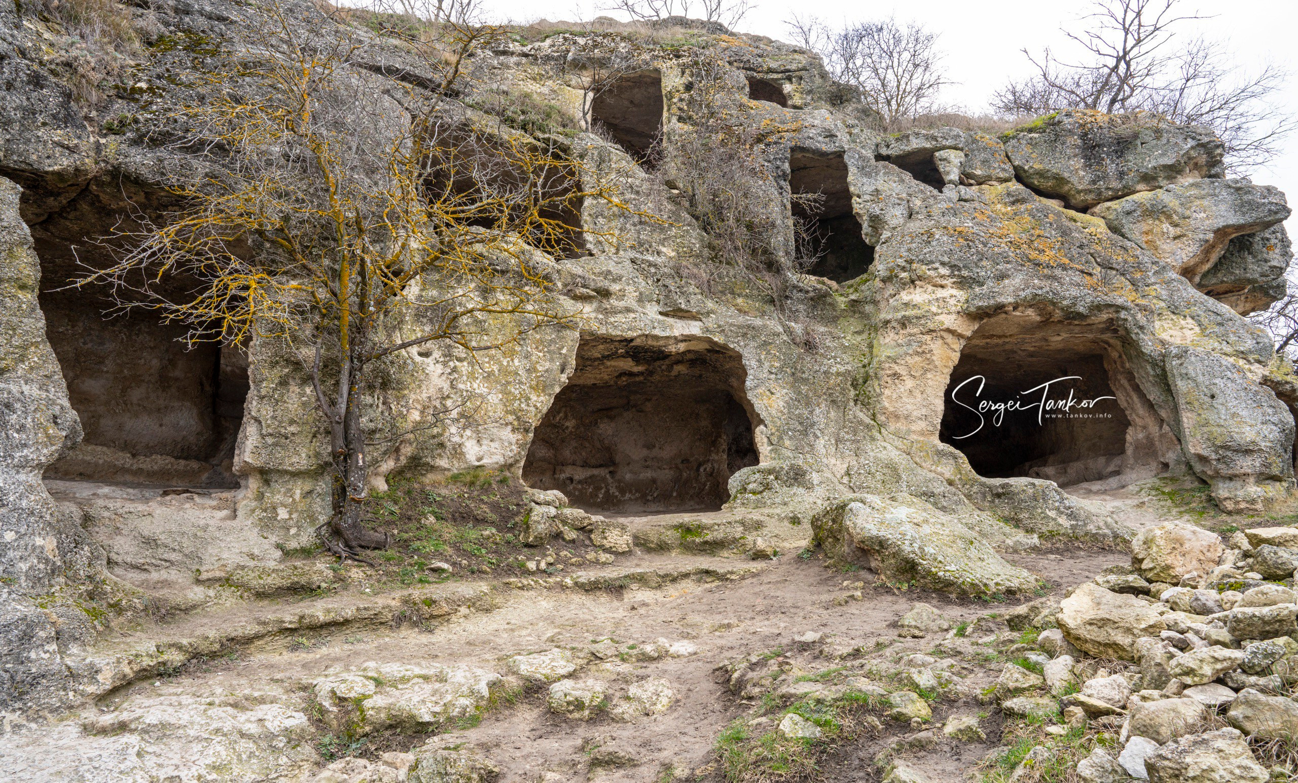 Крым (январь 2020). Фотограф Сергей Танков
