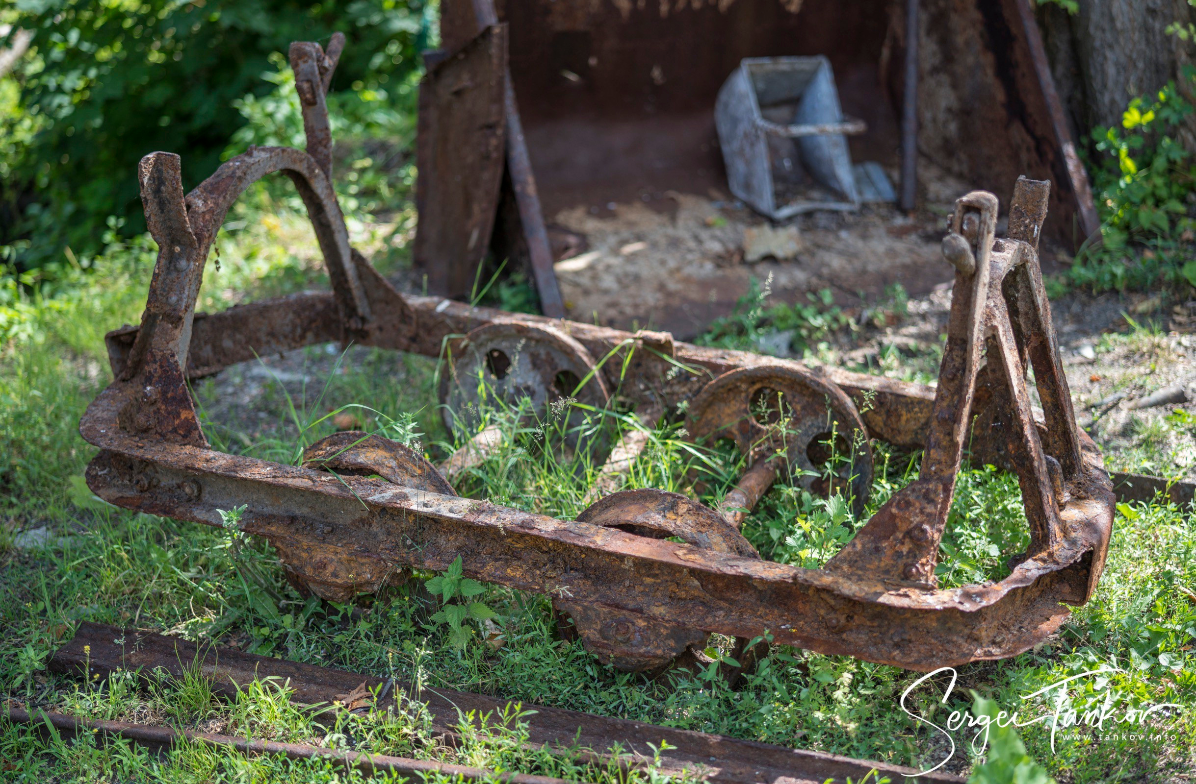 Калининград (июнь 2019). Фотограф Сергей Танков