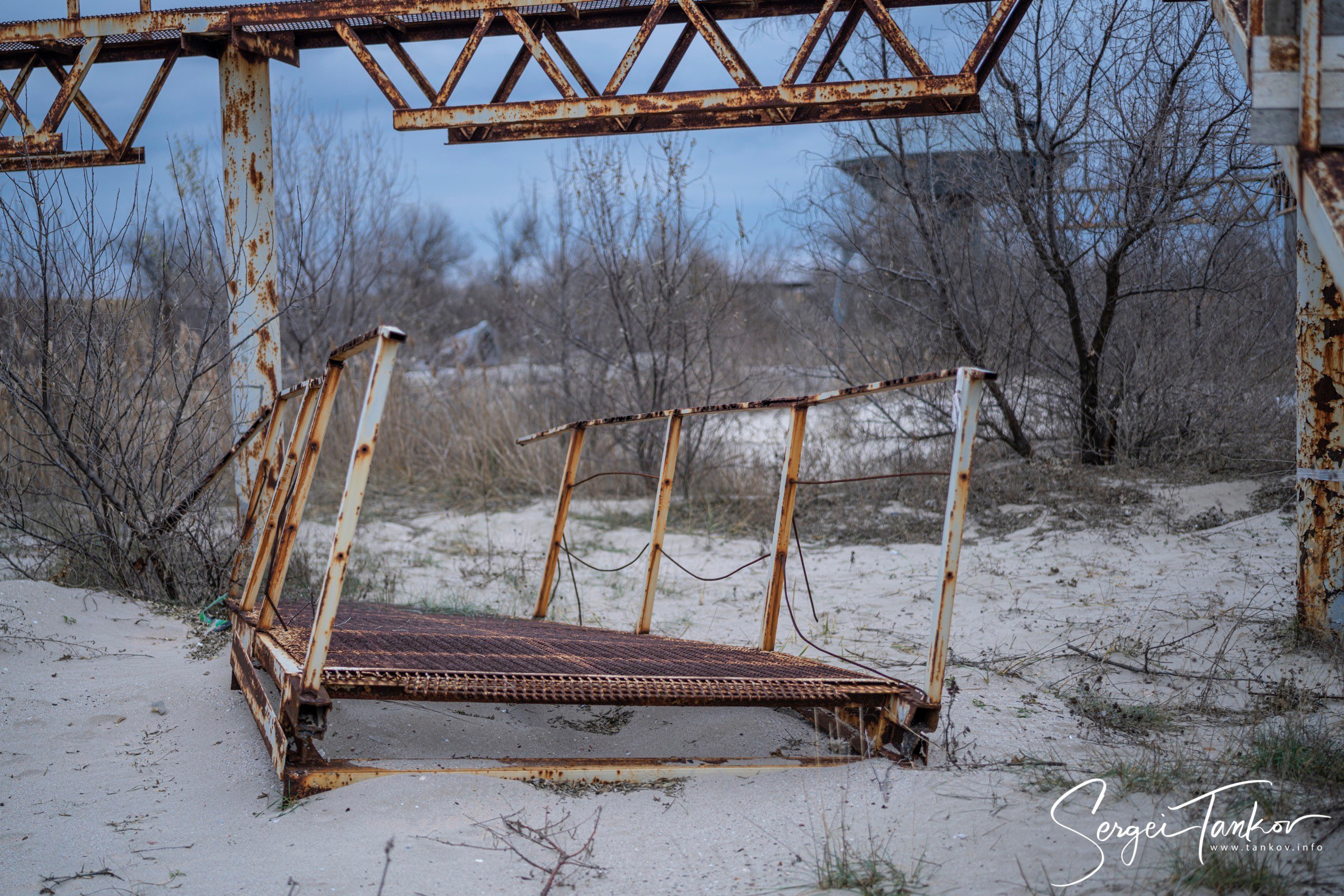 Крым (январь 2020). Фотограф Сергей Танков