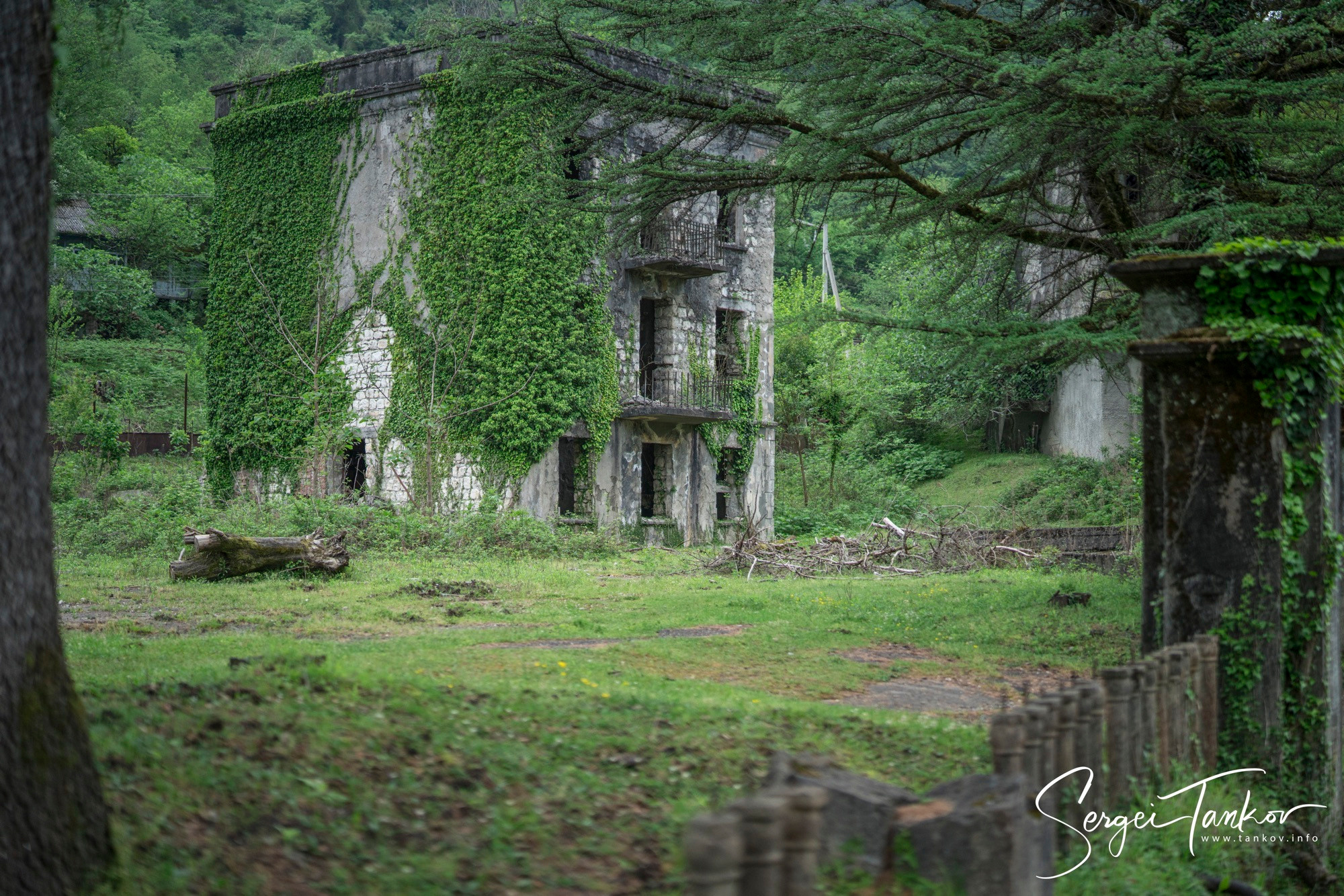 Абхазия (май 2019). Фотограф Сергей Танков
