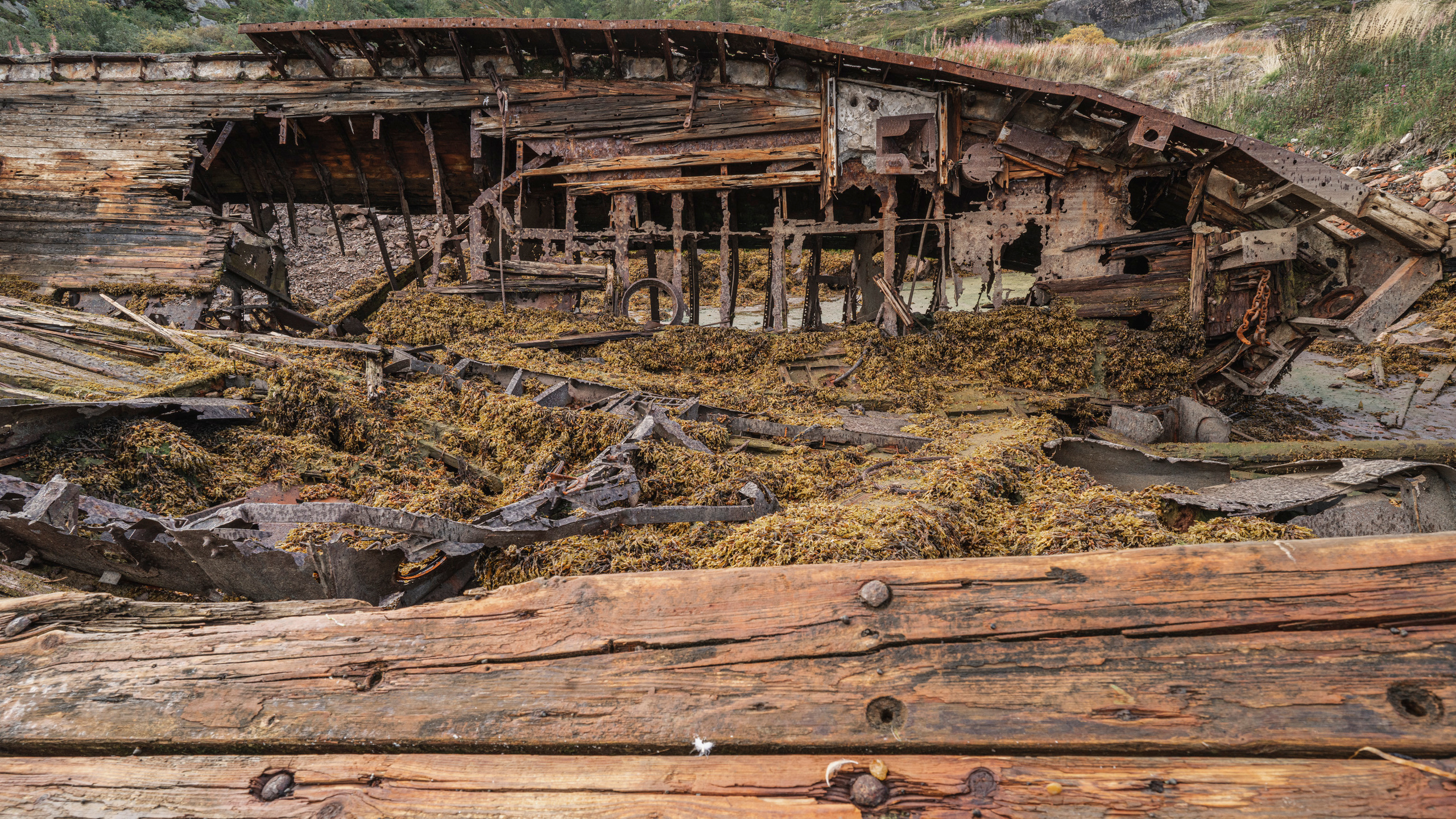 Териберка (октябрь 2020). Фотограф Сергей Танков
