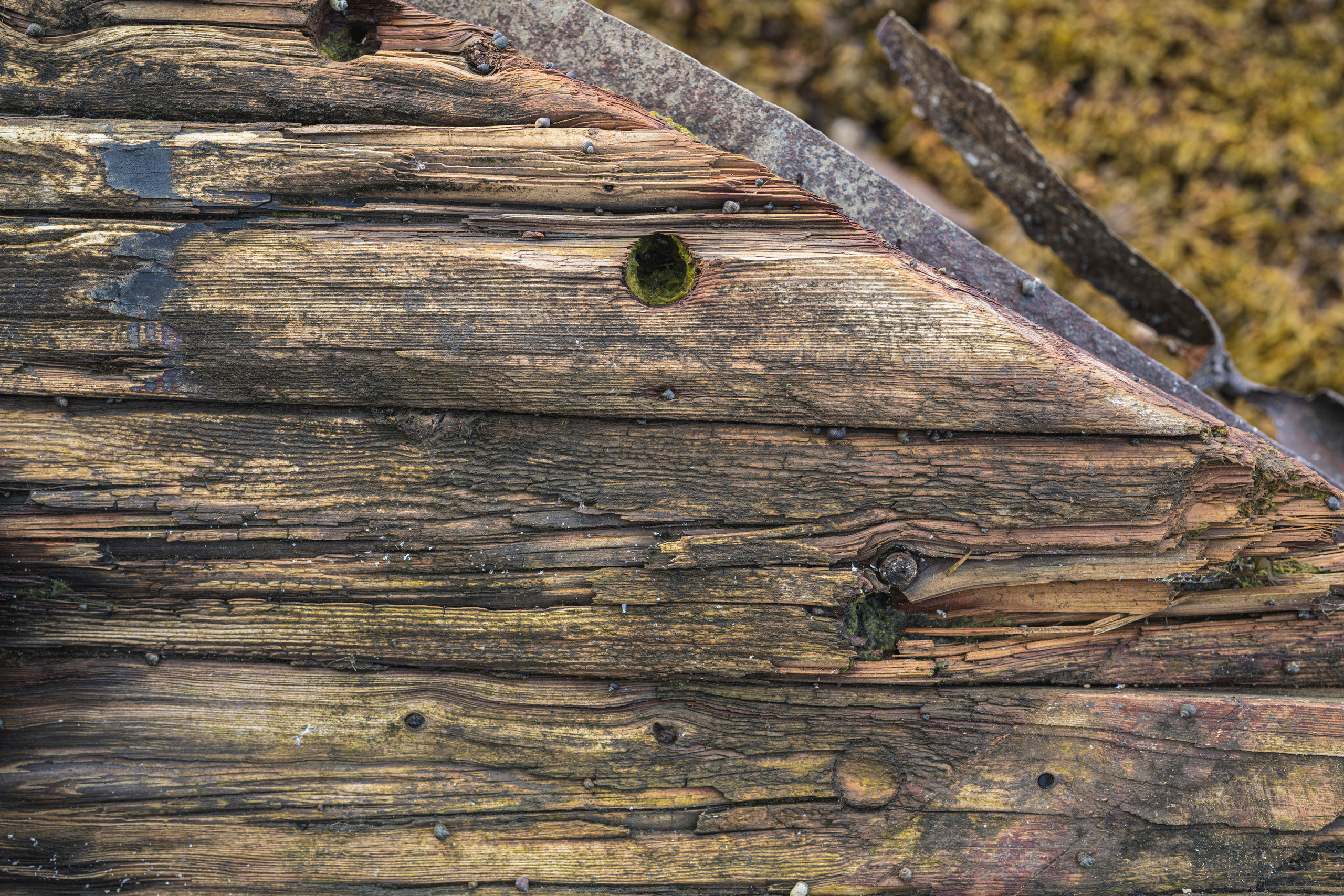 Териберка (октябрь 2020). Фотограф Сергей Танков