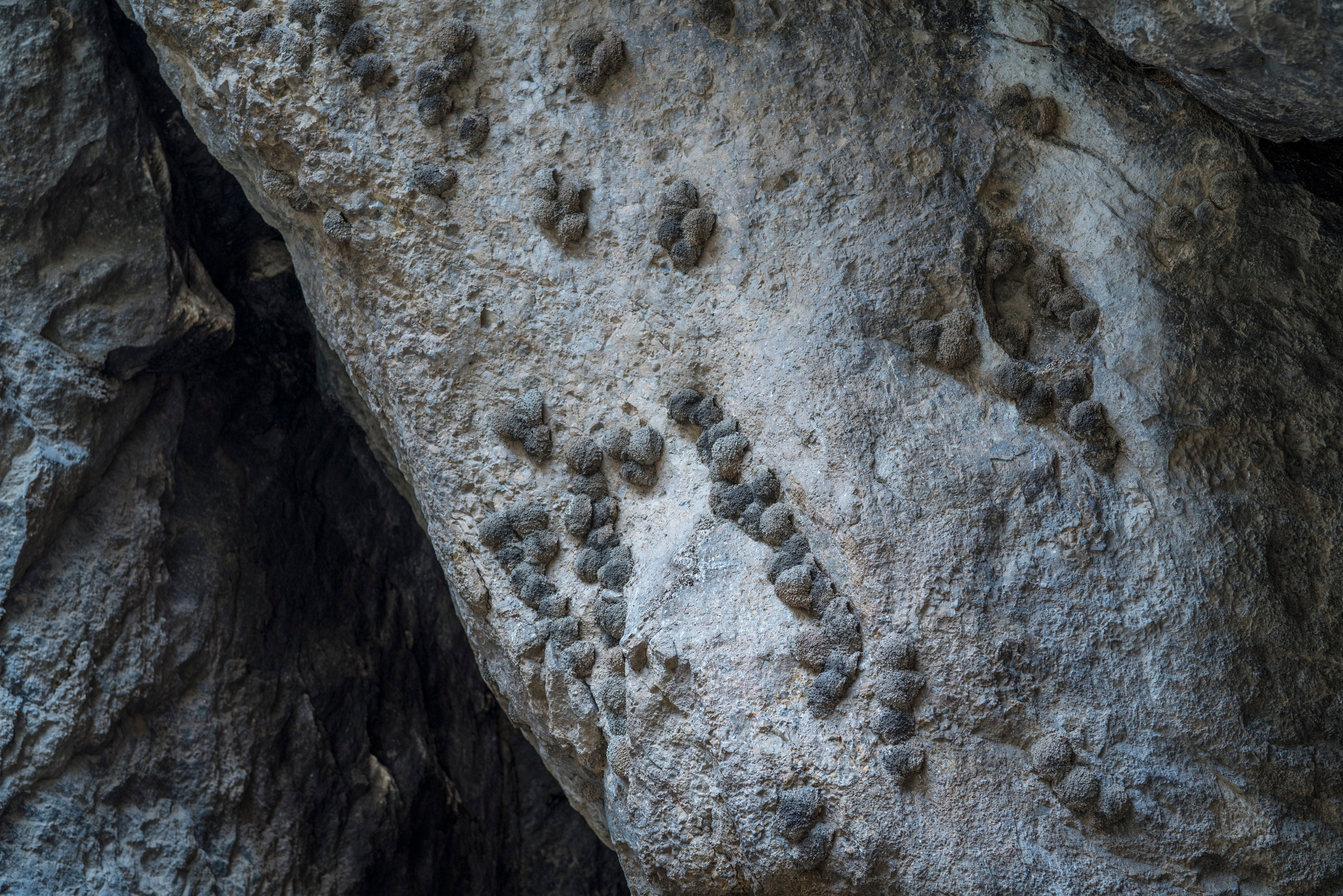 Армения (январь 2019). Фотограф Сергей Танков