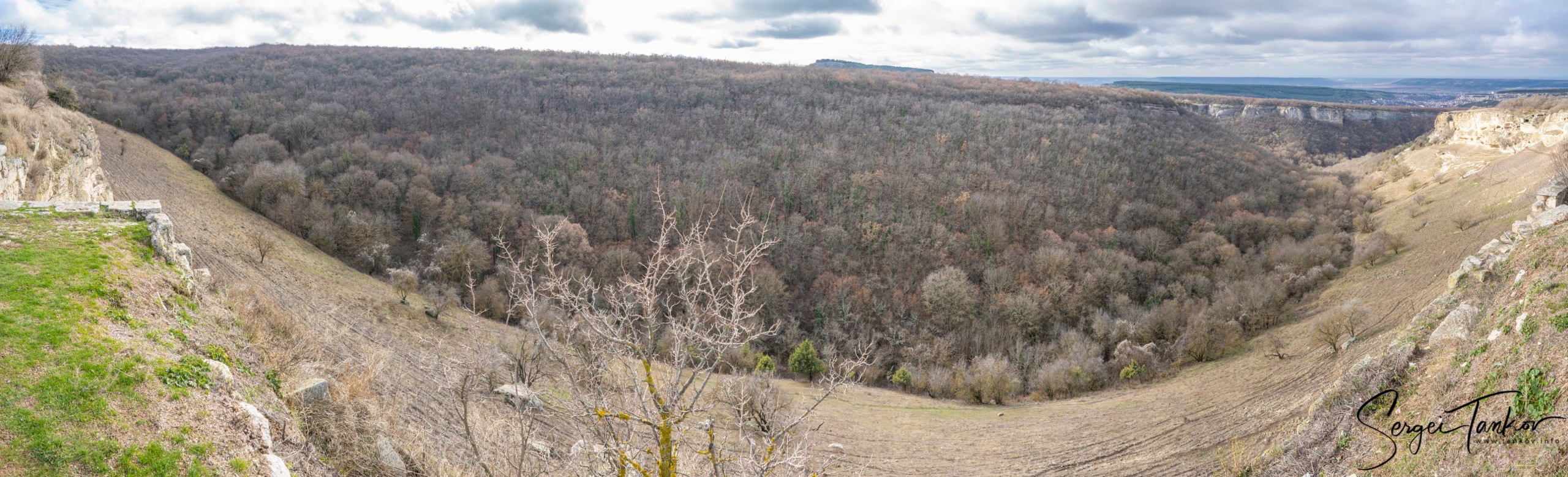 Крым (январь 2020). Фотограф Сергей Танков