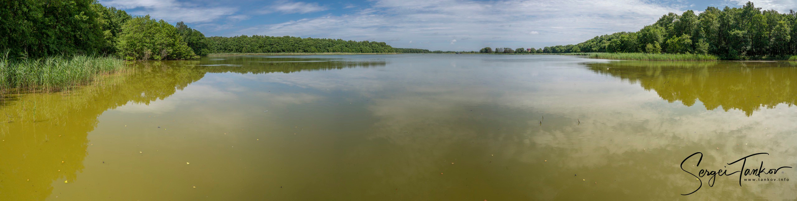 Калининград (июнь 2019). Фотограф Сергей Танков