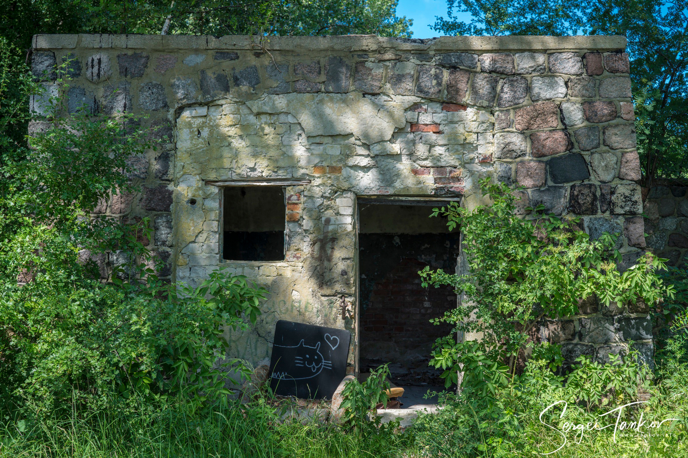 Калининград (июнь 2019). Фотограф Сергей Танков