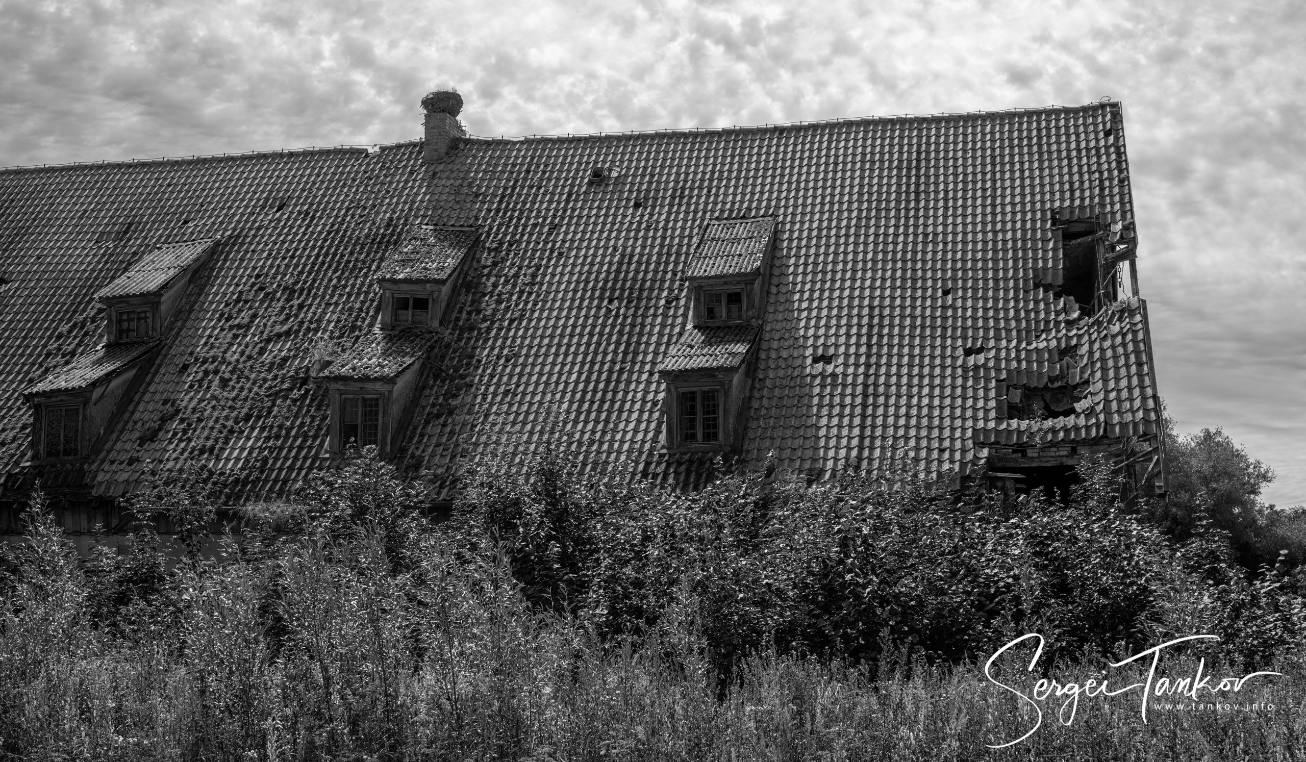 Калининград (июнь 2019). Фотограф Сергей Танков