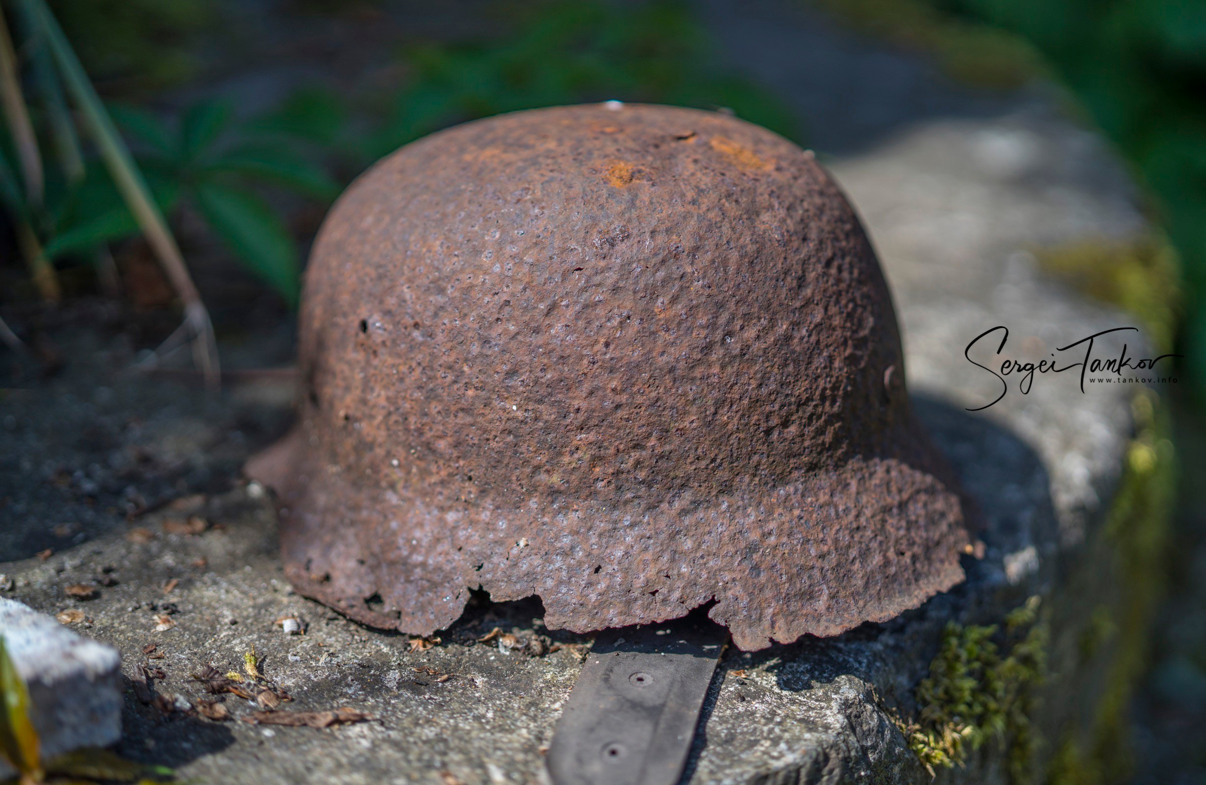 Калининград (июнь 2019). Фотограф Сергей Танков