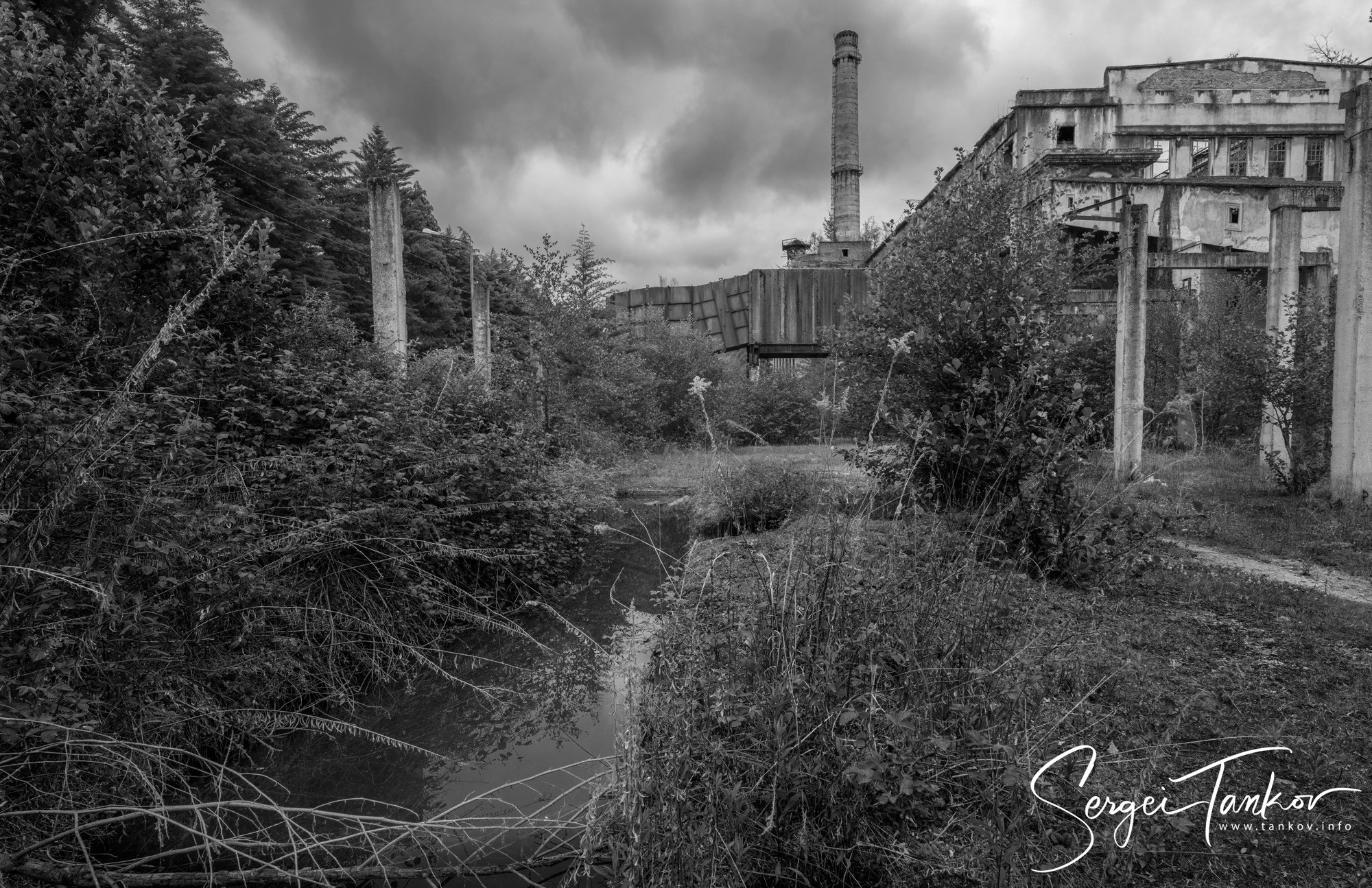 Абхазия (май 2019). Фотограф Сергей Танков