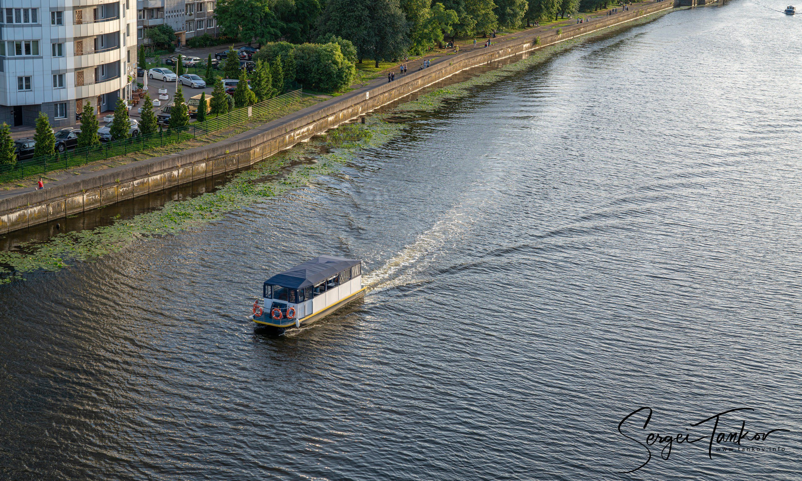 Калининград (июнь 2019). Фотограф Сергей Танков