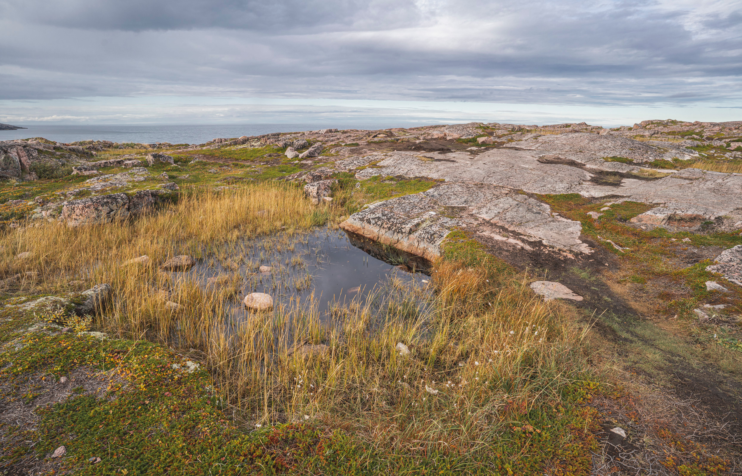 Териберка (октябрь 2020). Фотограф Сергей Танков