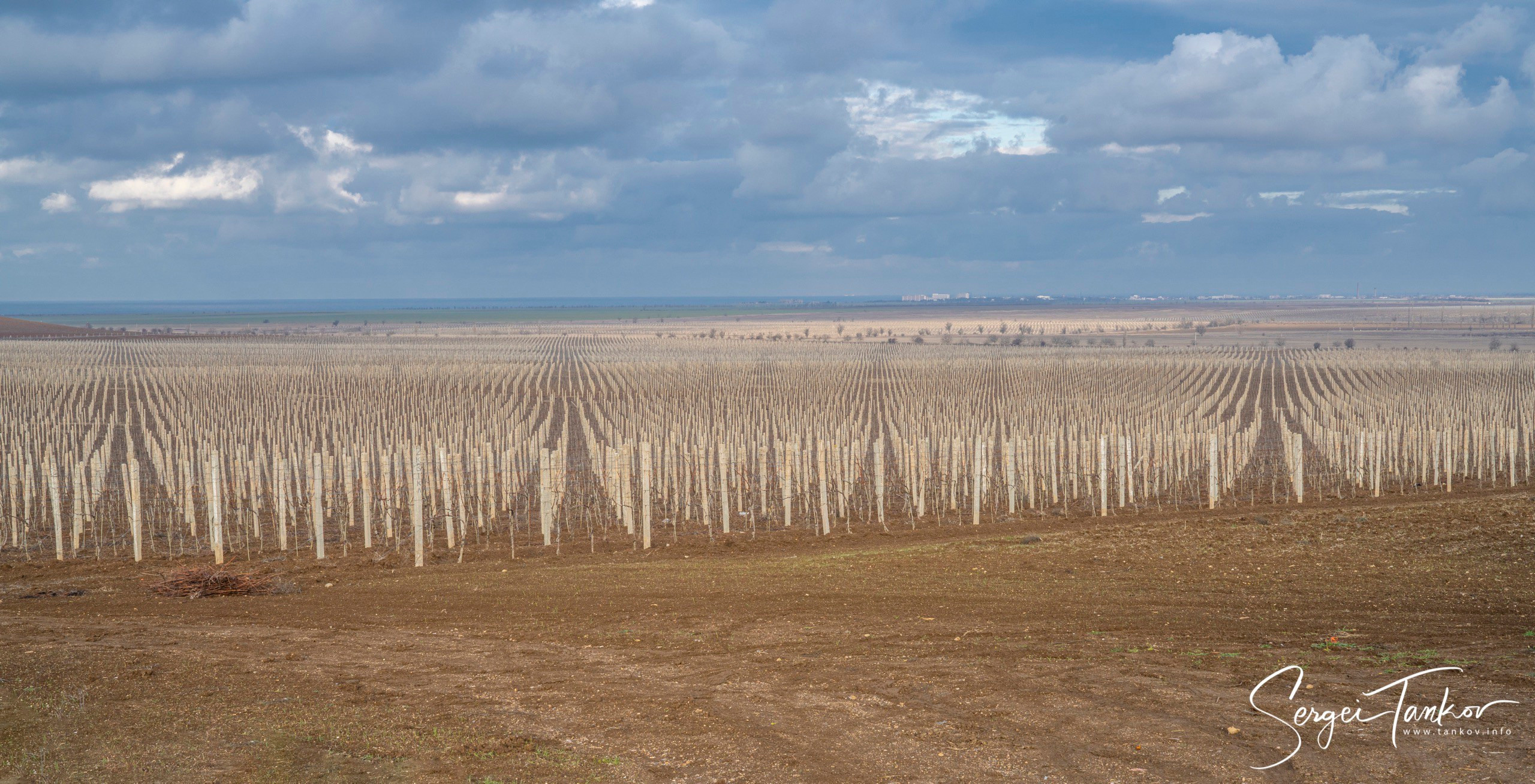 Крым (январь 2020). Фотограф Сергей Танков