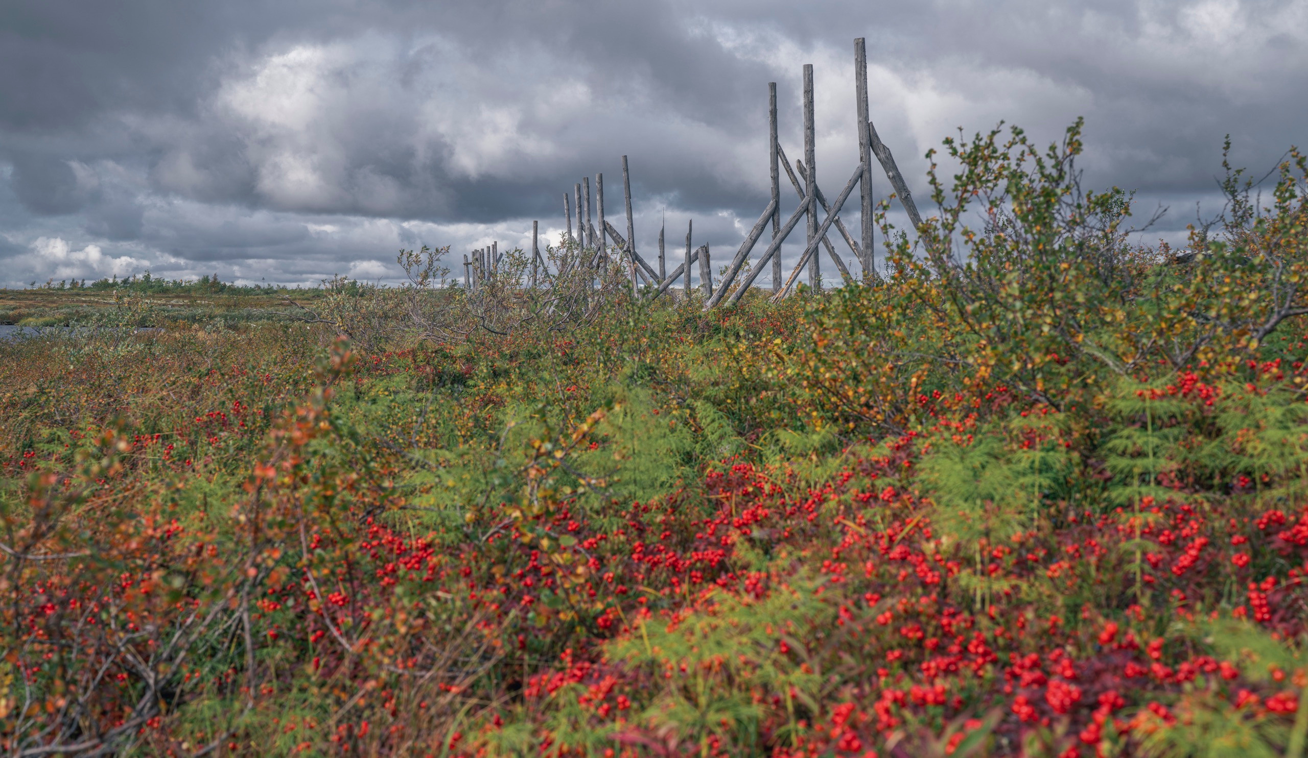 Териберка (октябрь 2020). Фотограф Сергей Танков