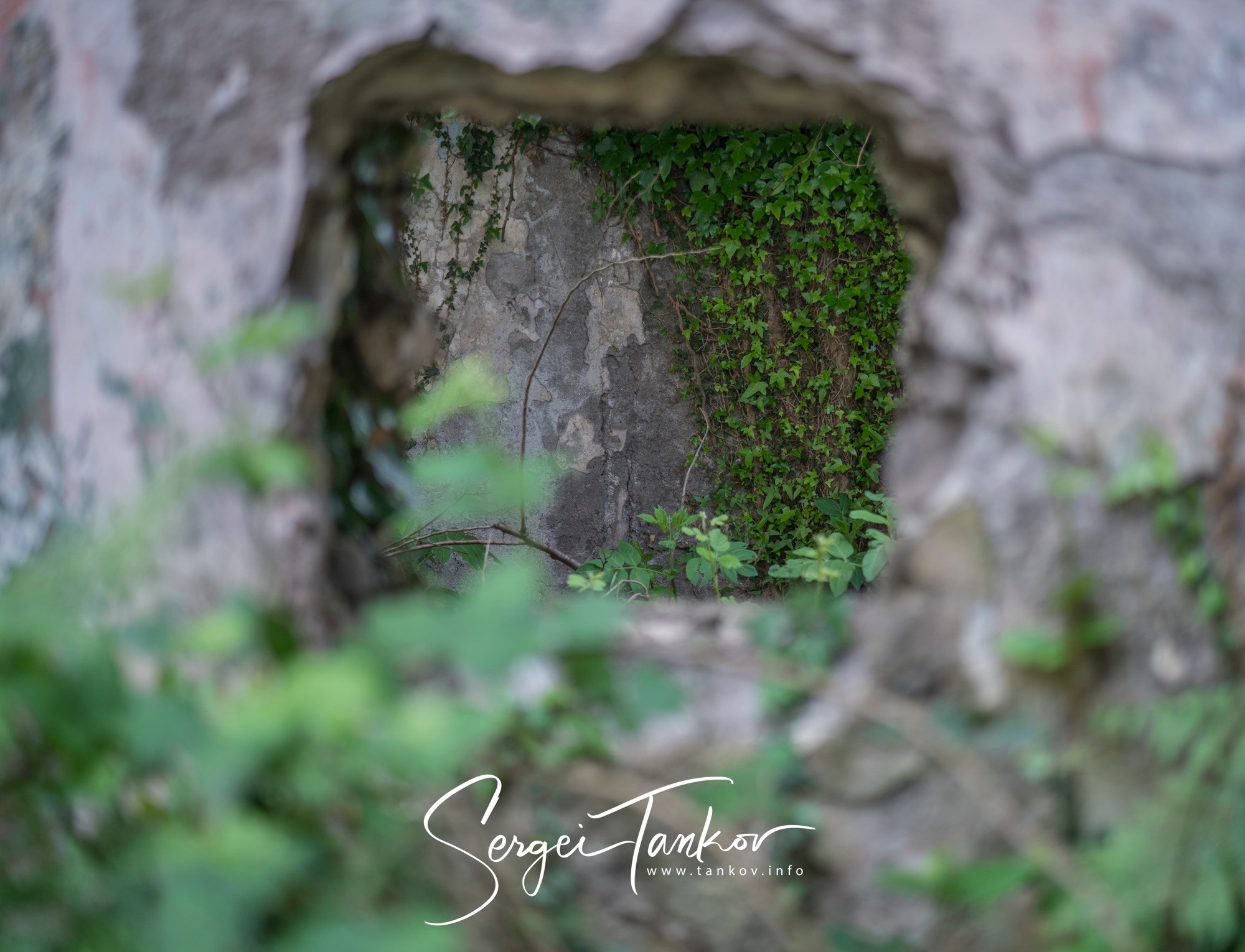 Абхазия (май 2019). Фотограф Сергей Танков