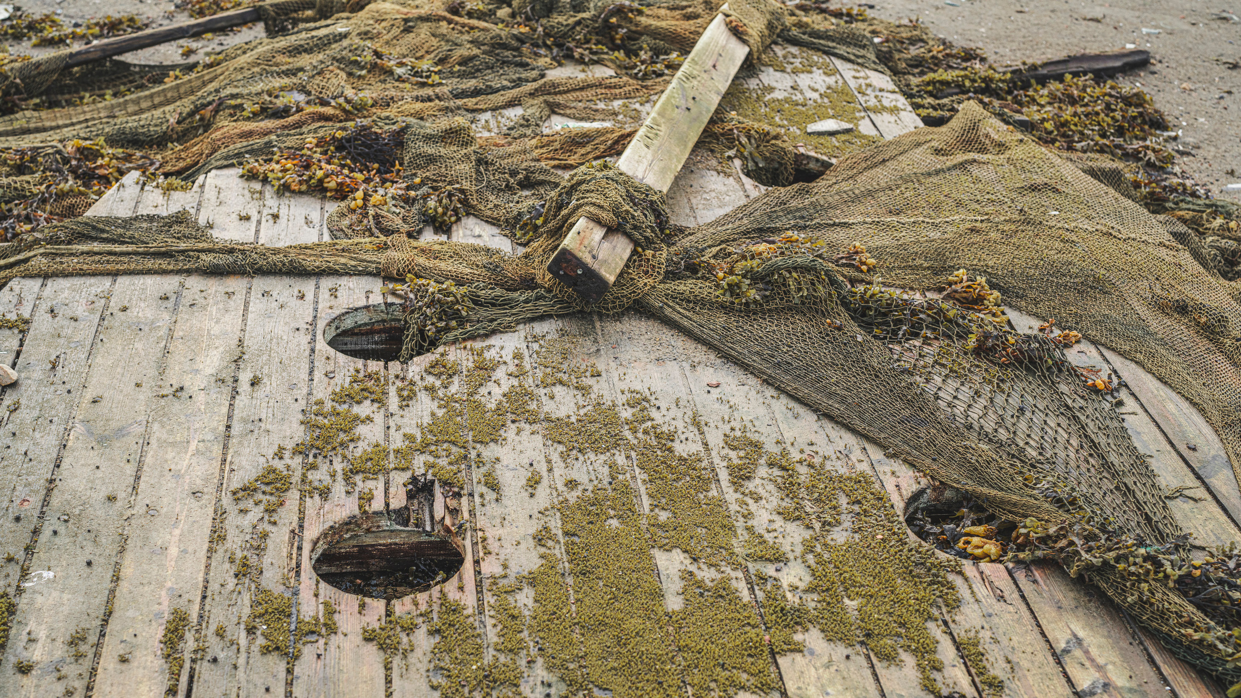 Териберка (октябрь 2020). Фотограф Сергей Танков