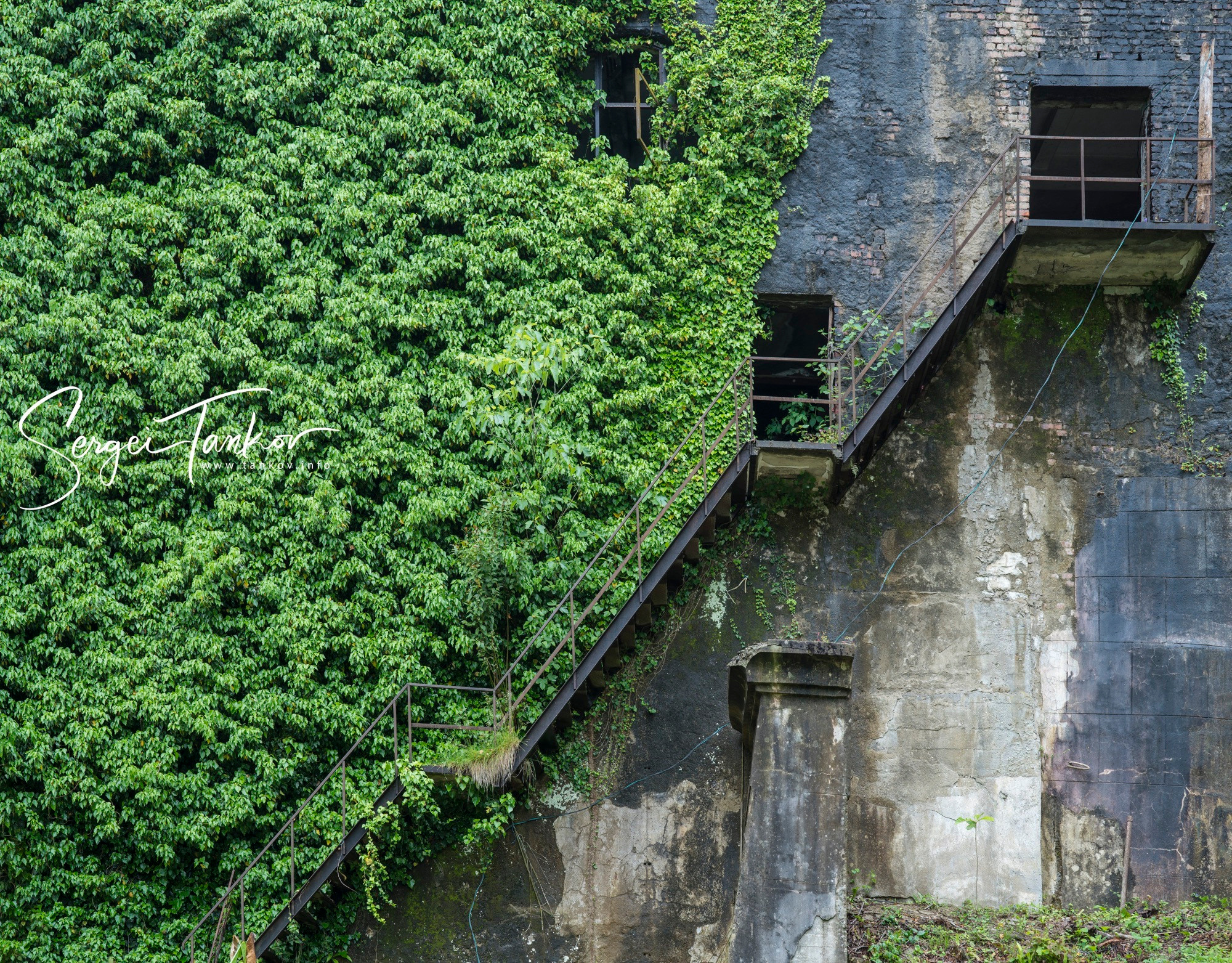 Абхазия (май 2019). Фотограф Сергей Танков