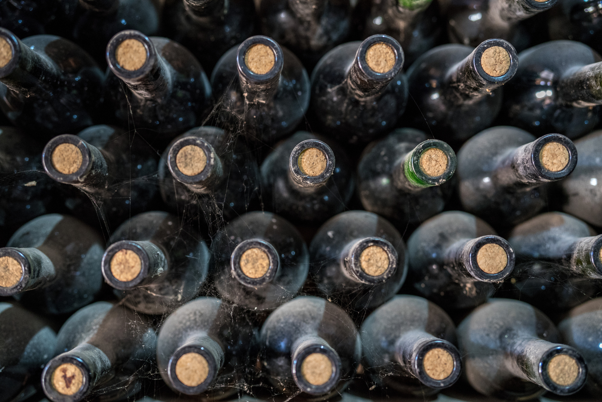 Армения (январь 2019). Фотограф Сергей Танков