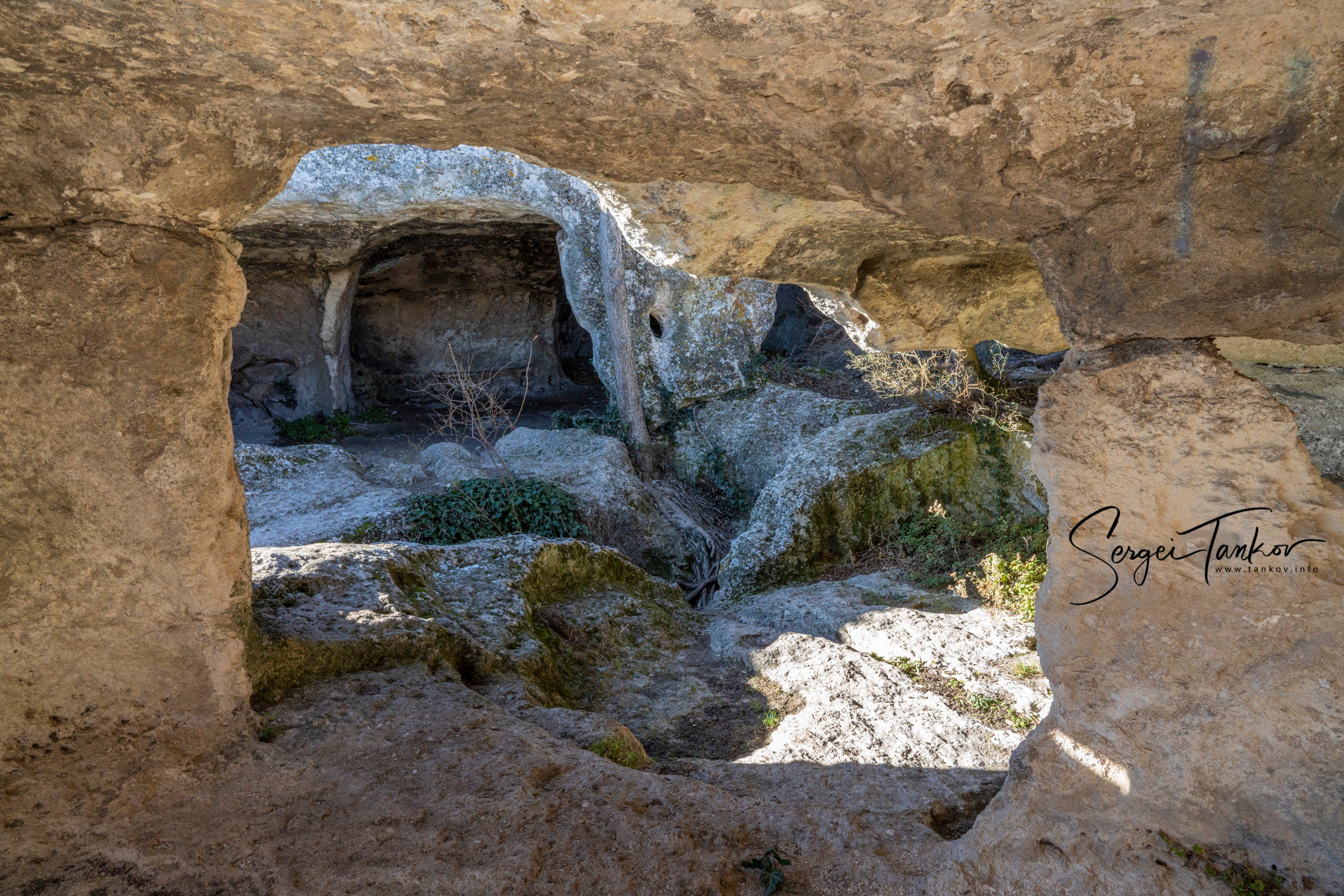 Крым (январь 2020). Фотограф Сергей Танков