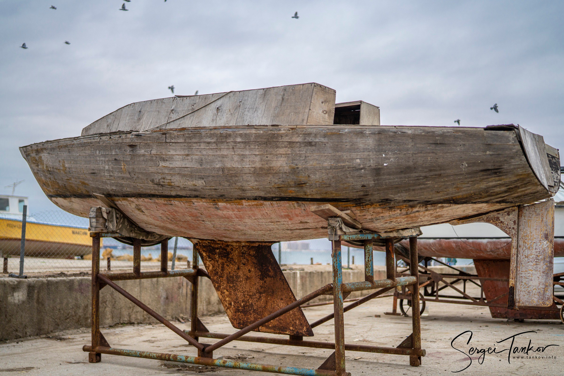 Крым (январь 2020). Фотограф Сергей Танков
