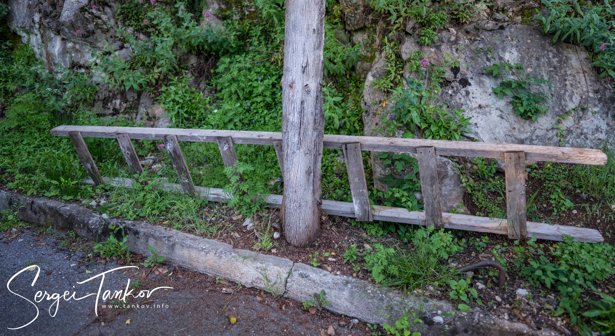 Абхазия (май 2019). Фотограф Сергей Танков