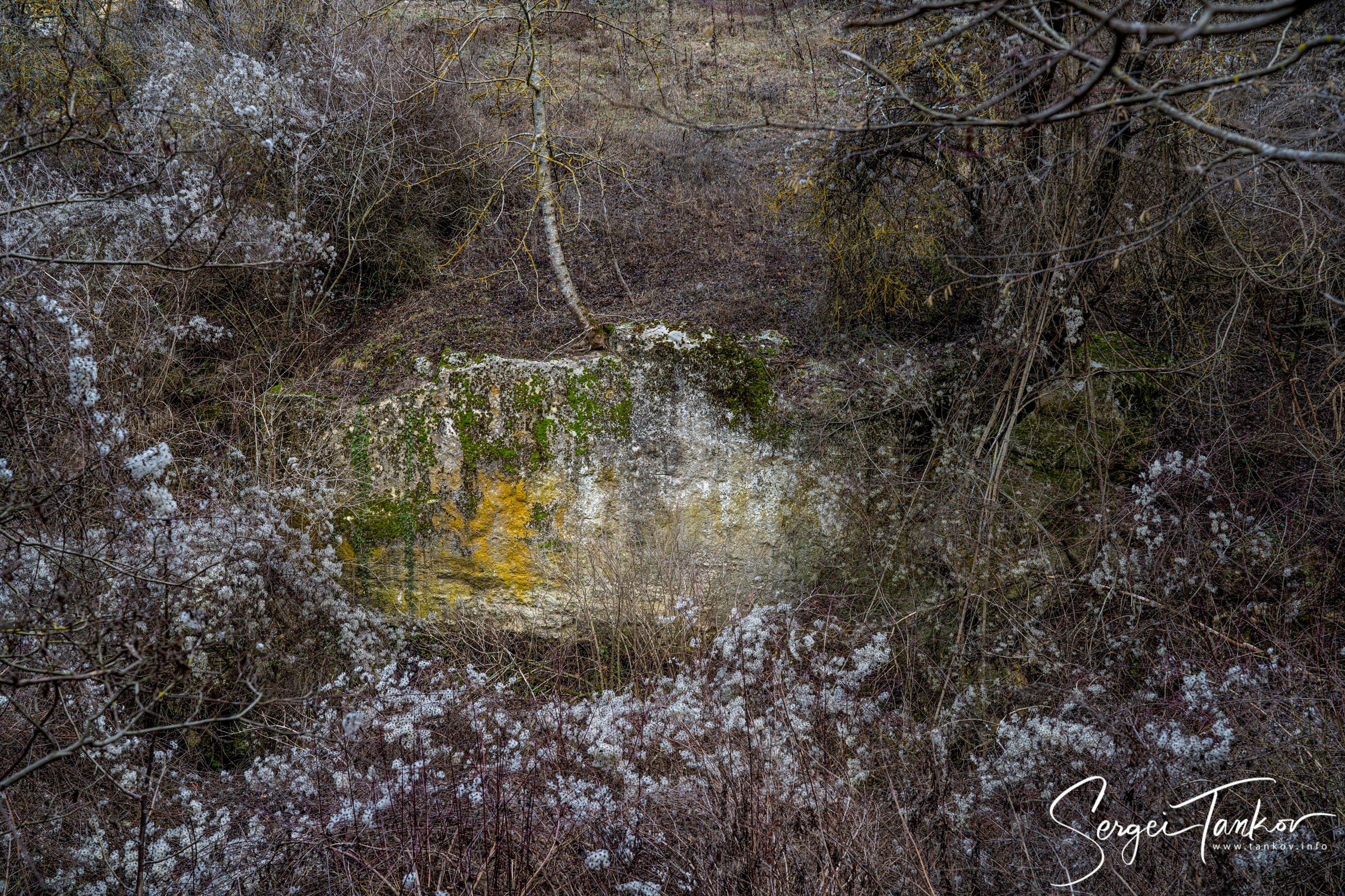 Крым (январь 2020). Фотограф Сергей Танков