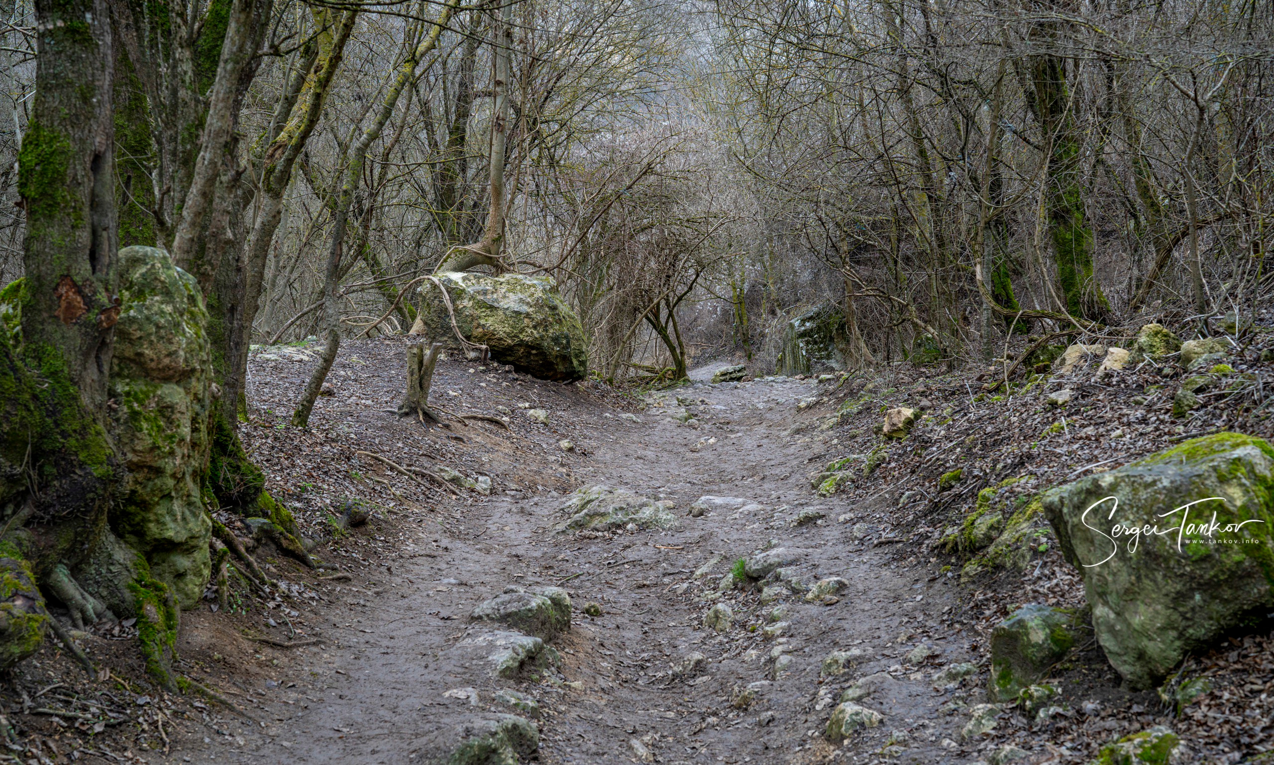 Крым (январь 2020). Фотограф Сергей Танков