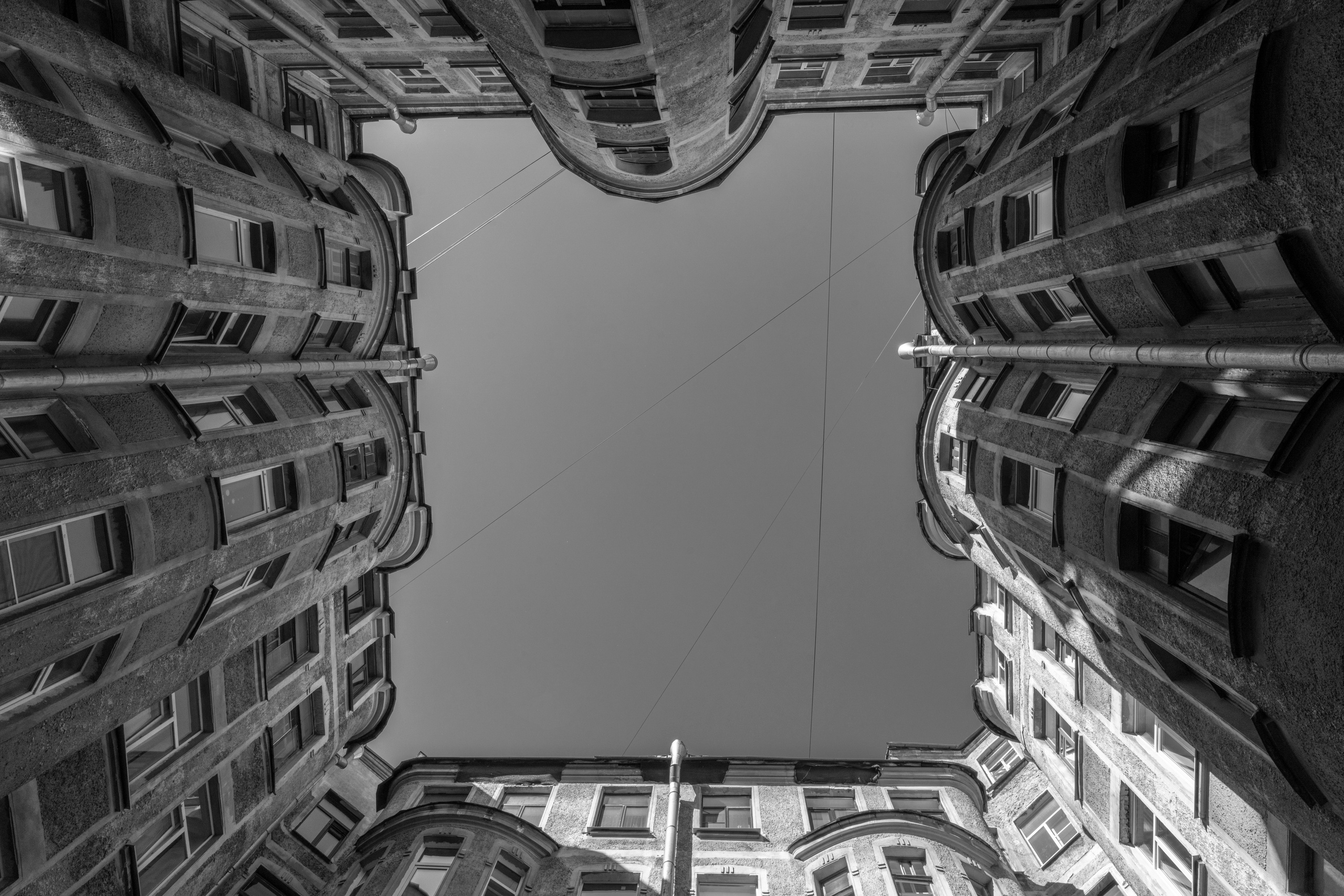 Питер (2020). Фотограф Сергей Танков