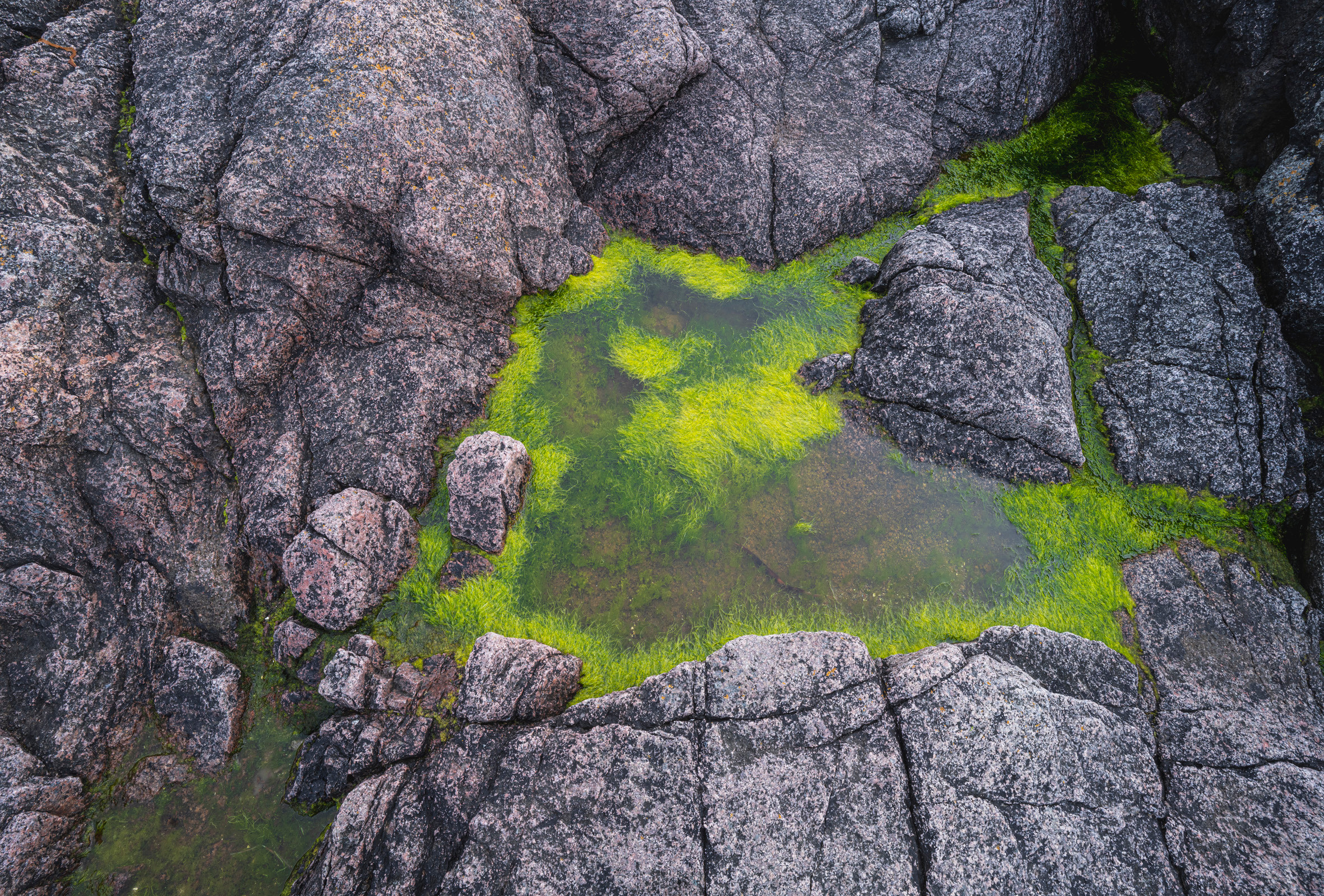 Териберка (октябрь 2020). Фотограф Сергей Танков
