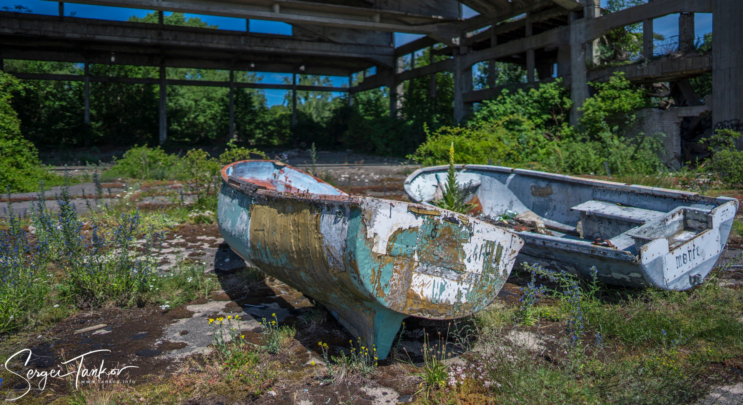 Калининград (июнь 2019). Фотограф Сергей Танков