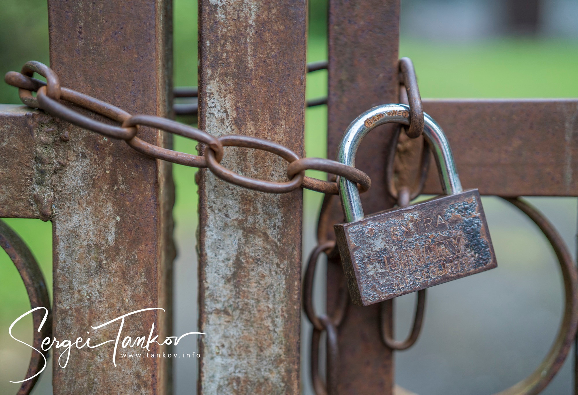 Абхазия (май 2019). Фотограф Сергей Танков