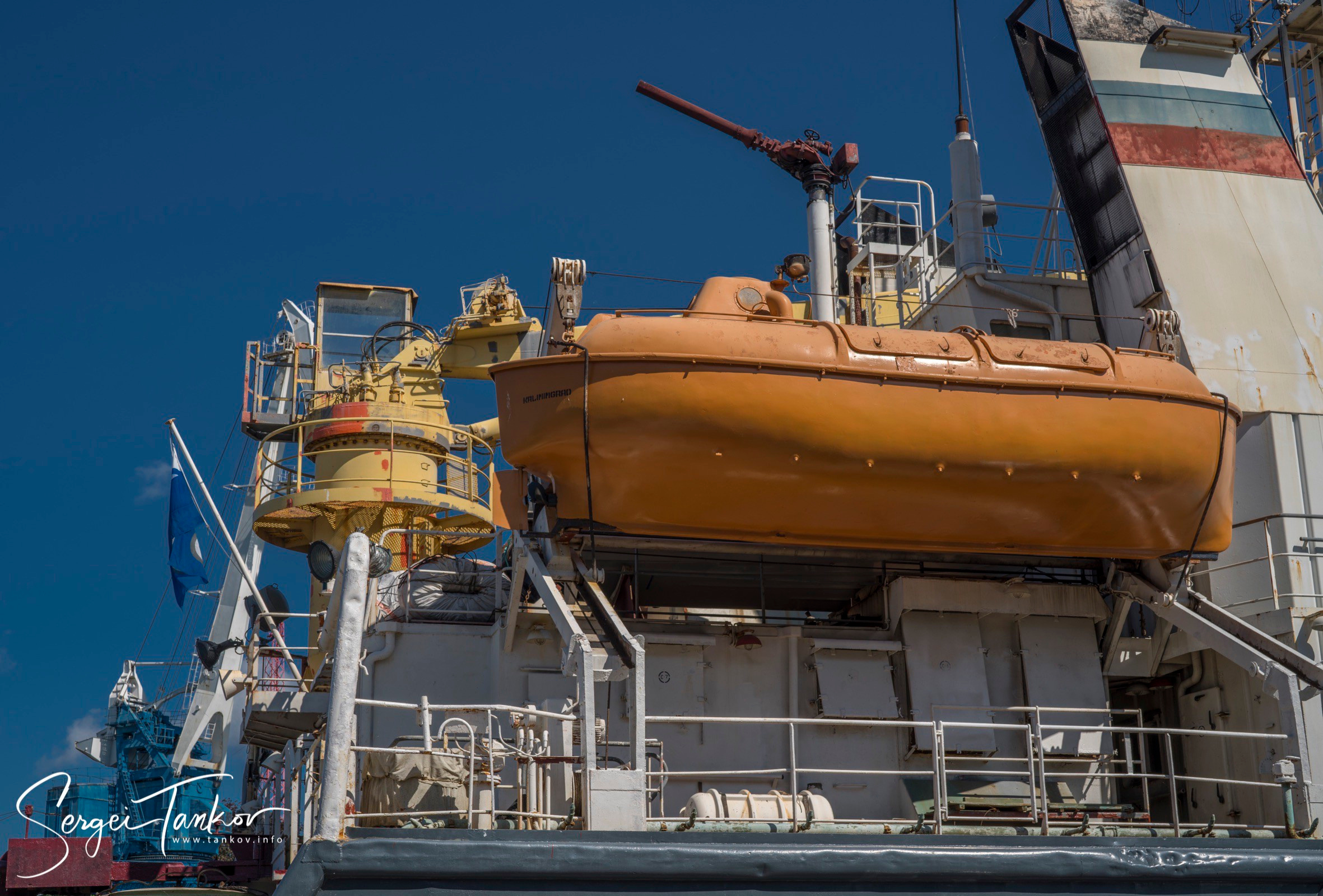 Калининград (июнь 2019). Фотограф Сергей Танков