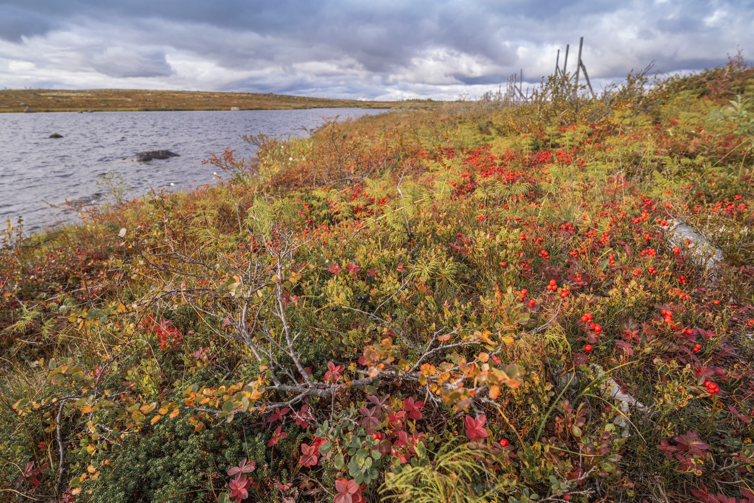 Териберка (октябрь 2020). Фотограф Сергей Танков