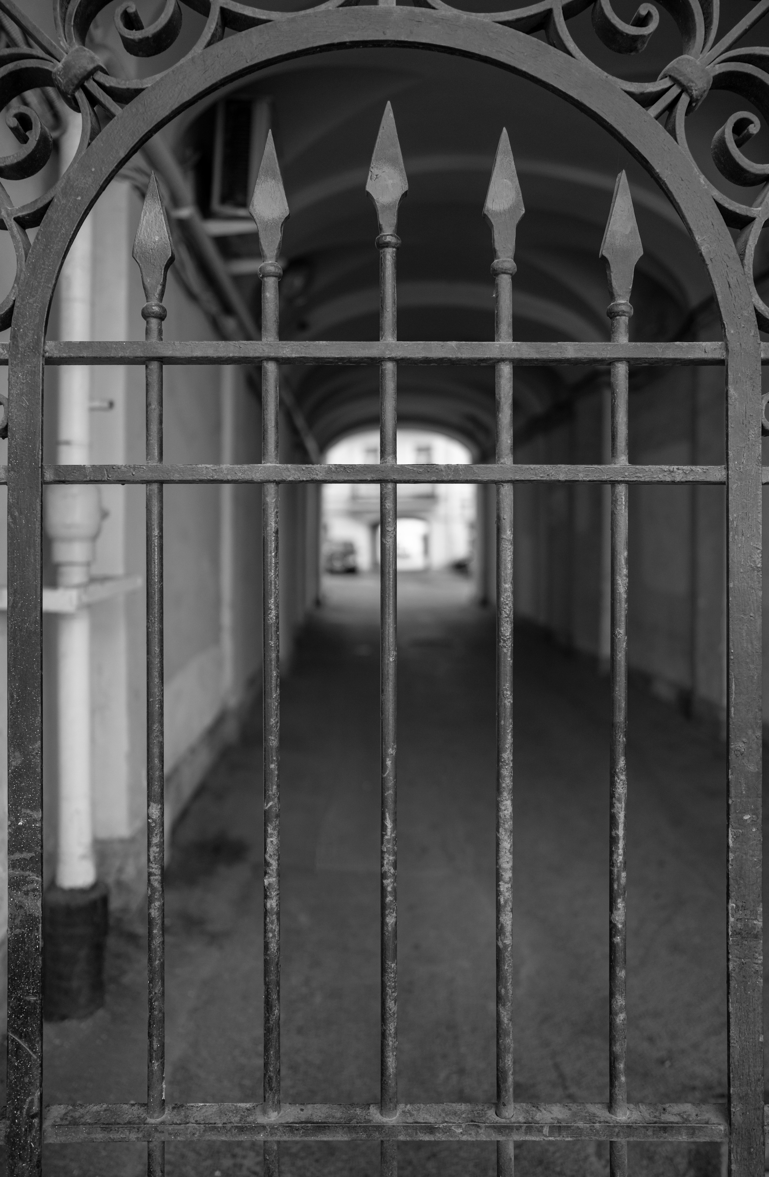 Питер (2020). Фотограф Сергей Танков