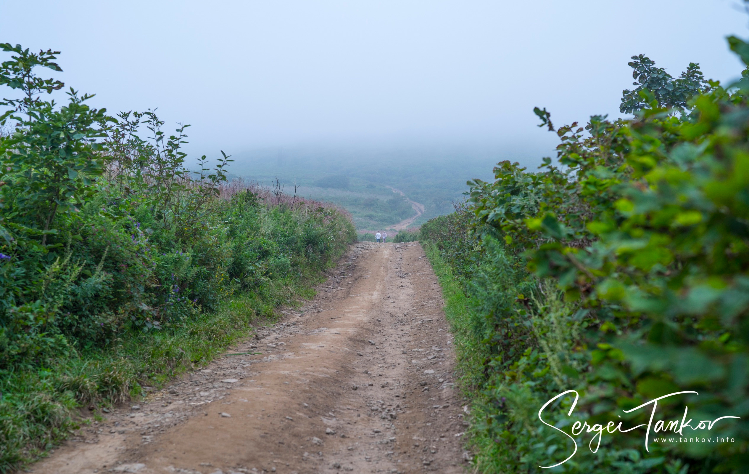 Владивосток (сентябрь 2019). Фотограф Сергей Танков