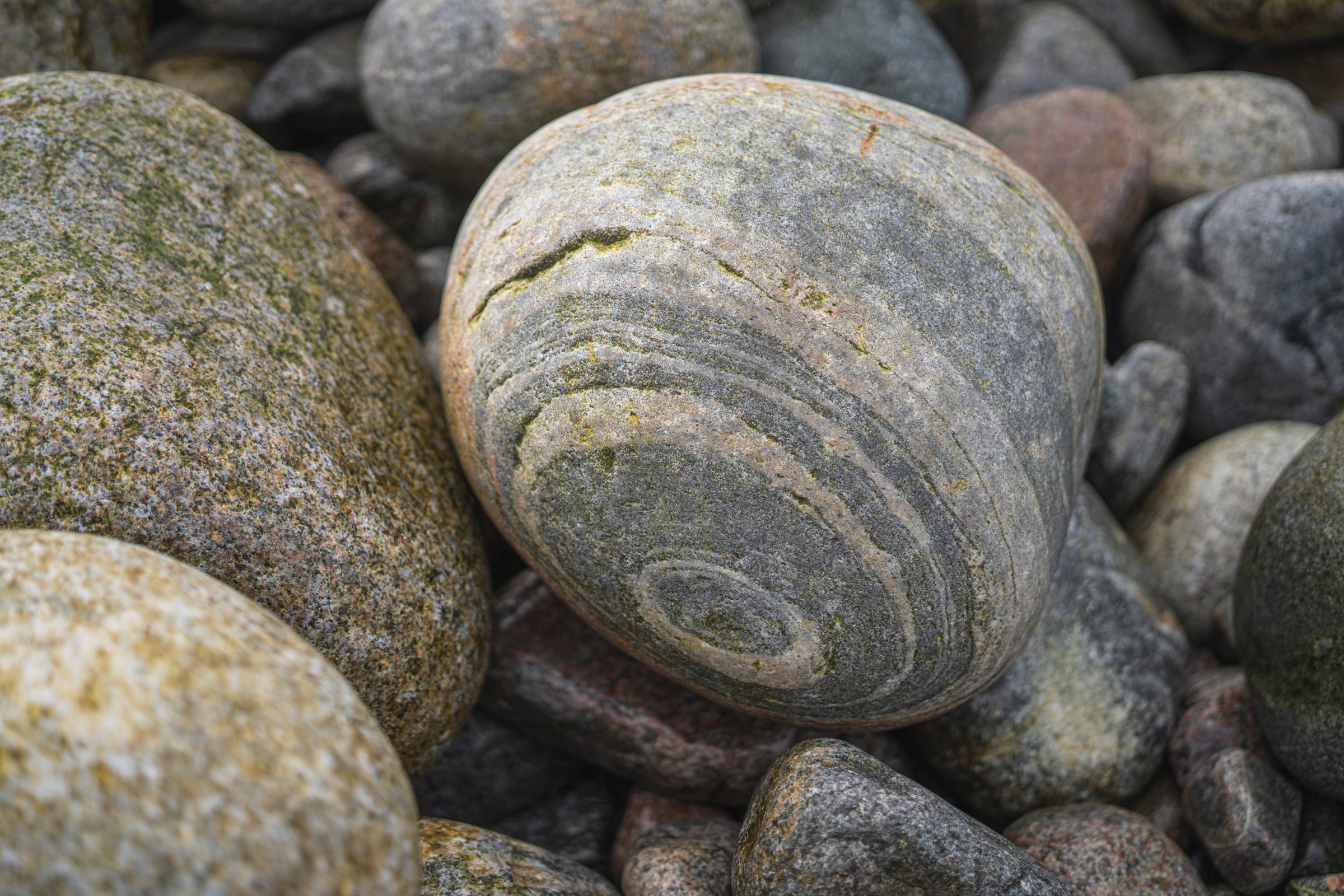 Териберка (октябрь 2020). Фотограф Сергей Танков