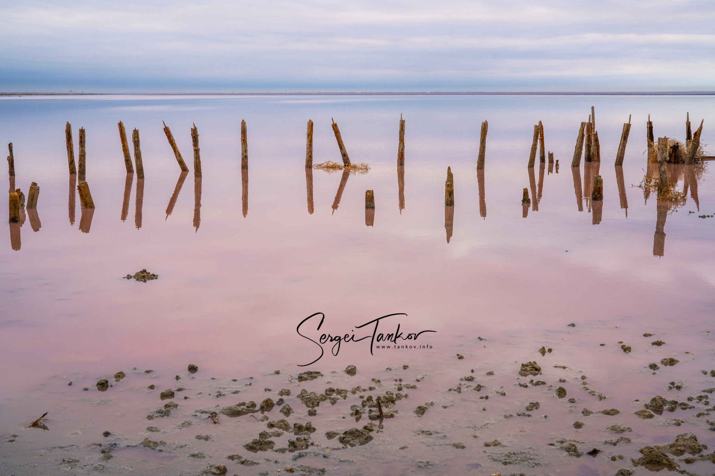 Крым (январь 2020). Фотограф Сергей Танков