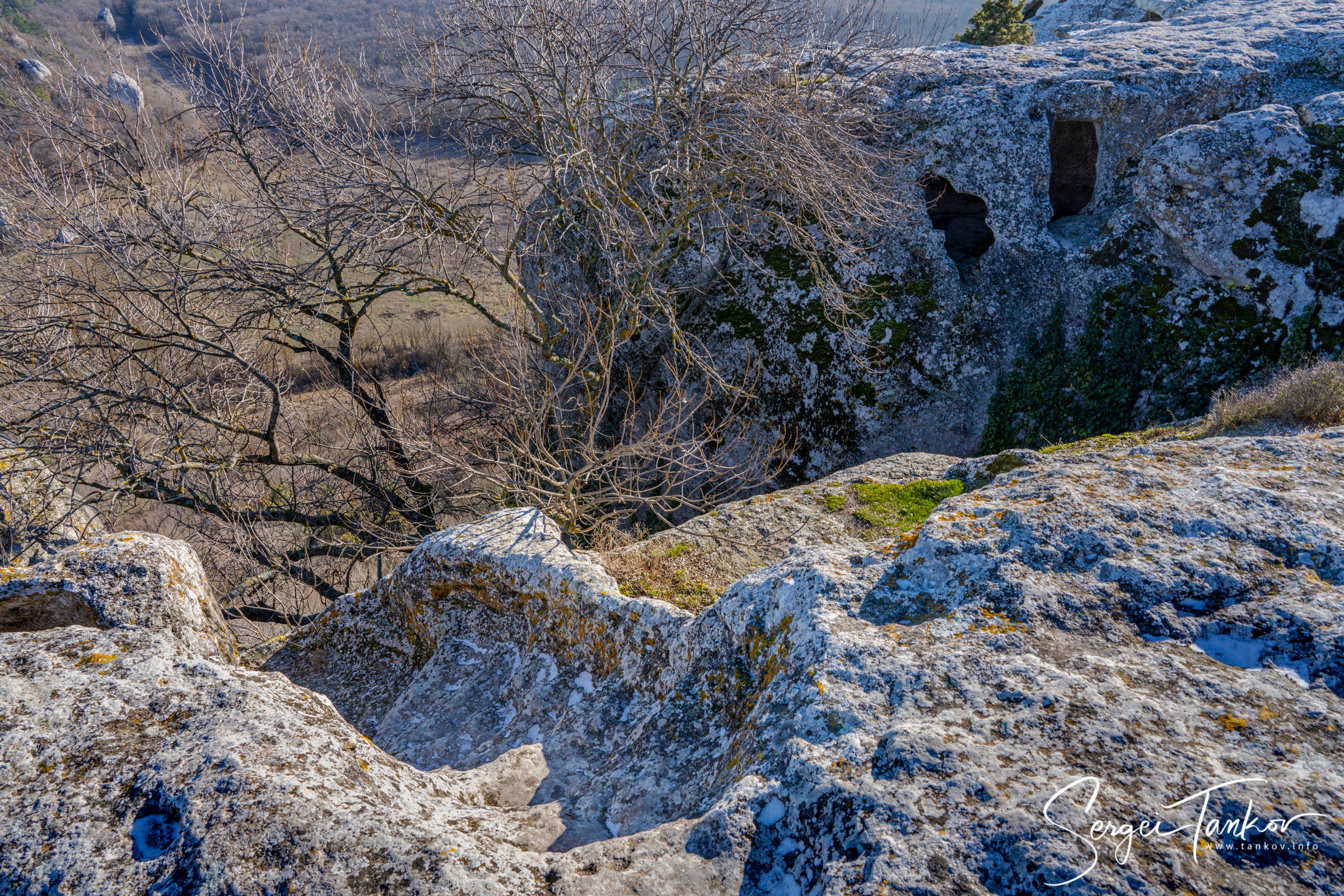 Крым (январь 2020). Фотограф Сергей Танков