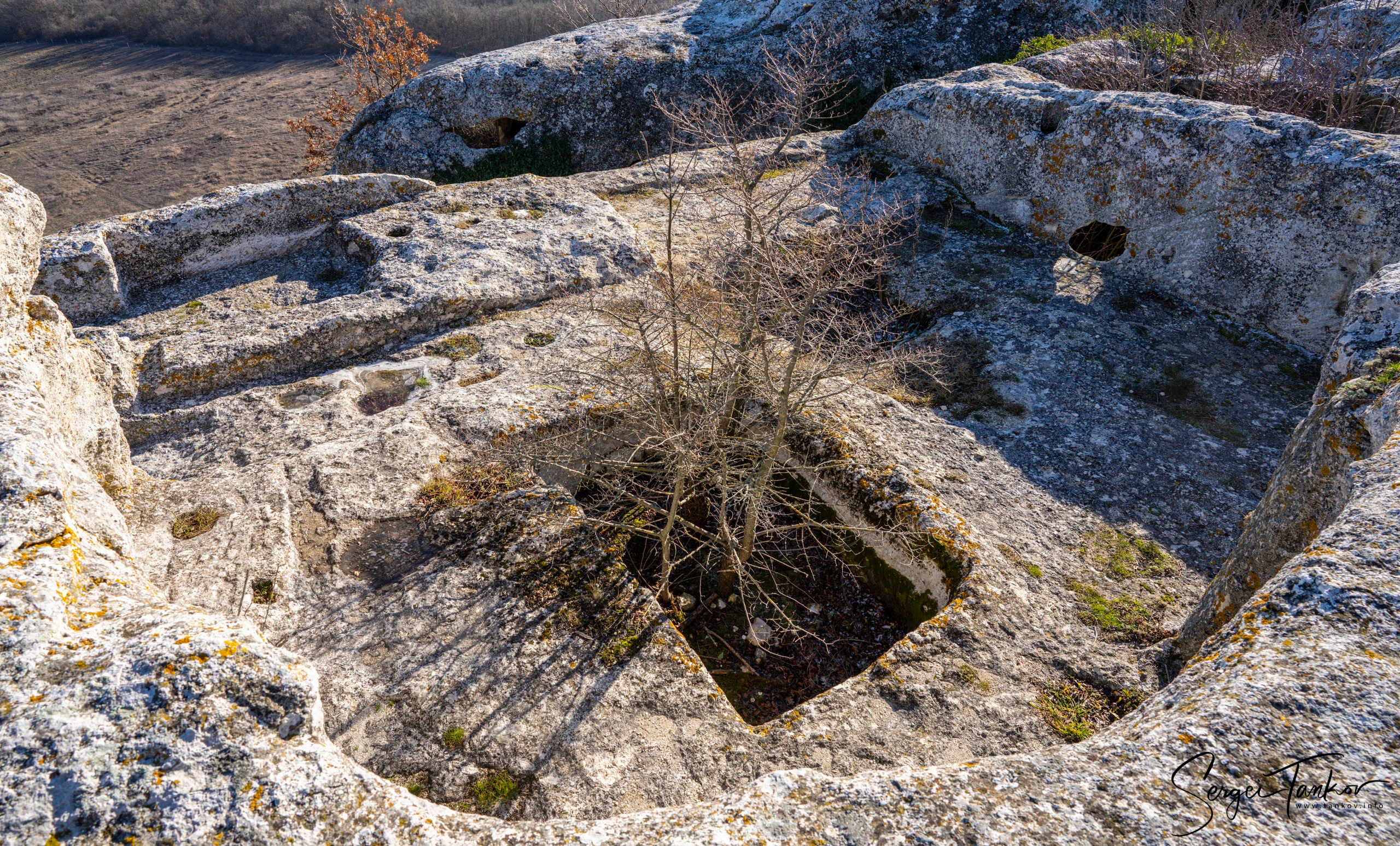 Крым (январь 2020). Фотограф Сергей Танков