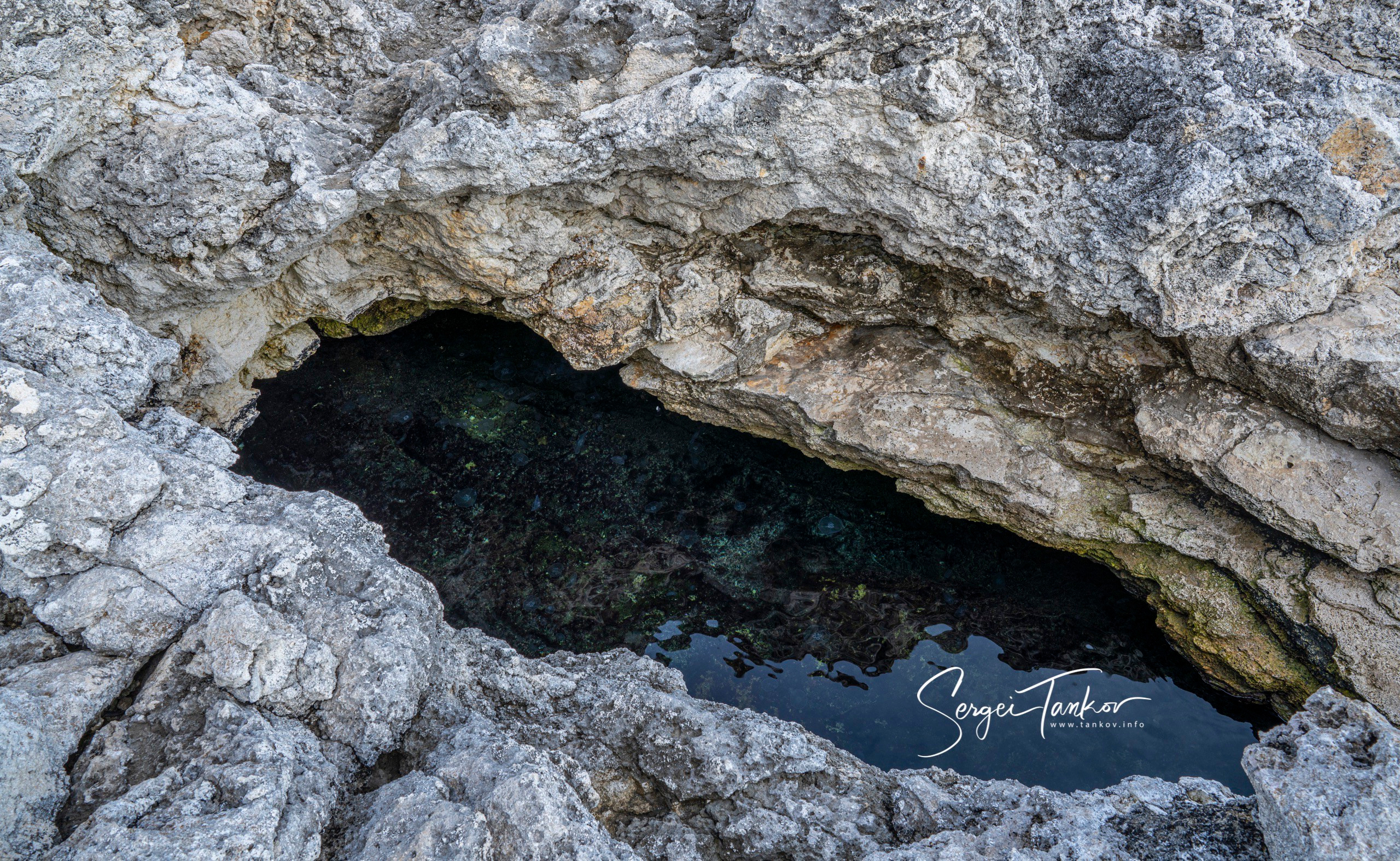 Крым (январь 2020). Фотограф Сергей Танков
