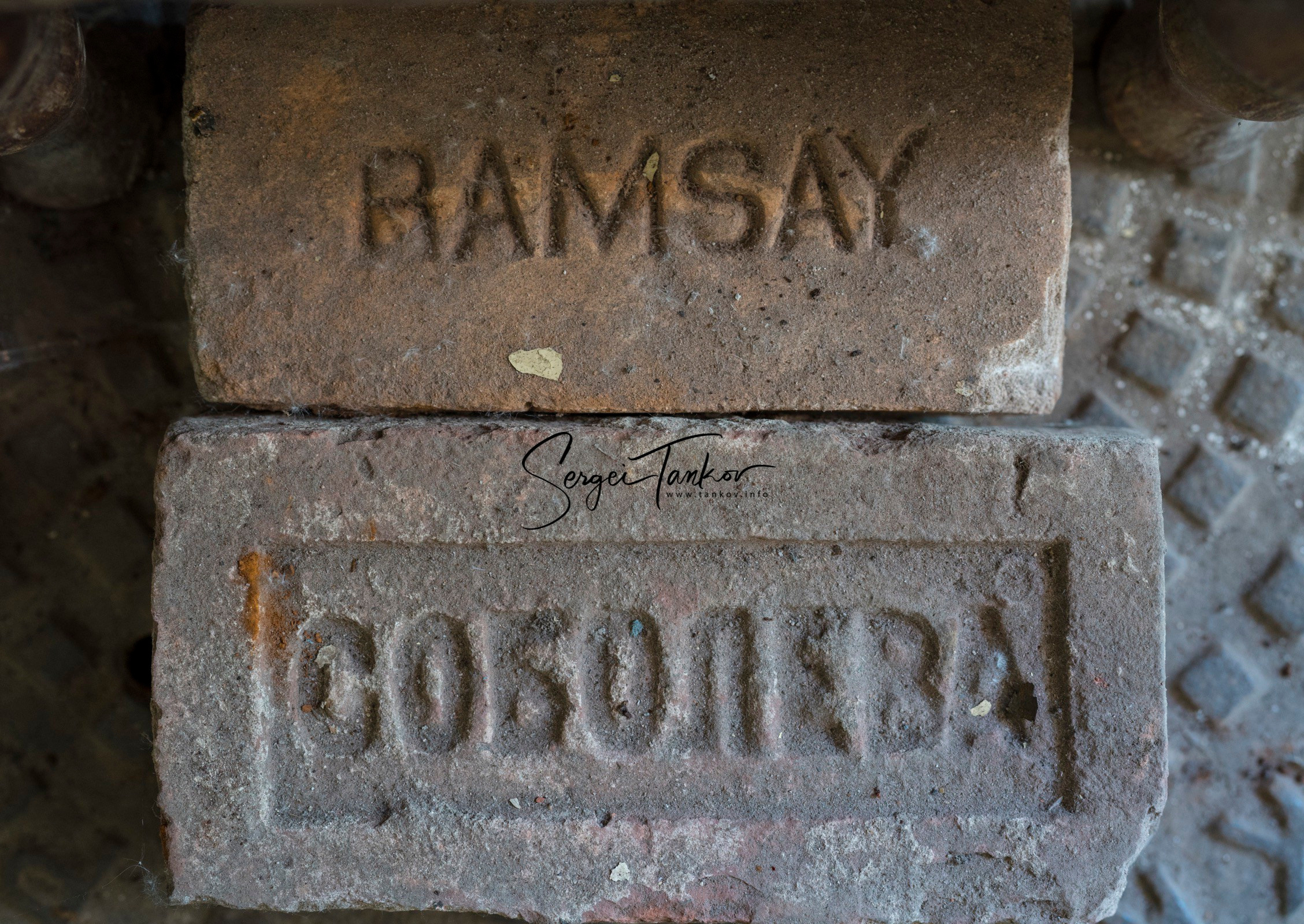 Калининград (июнь 2019). Фотограф Сергей Танков