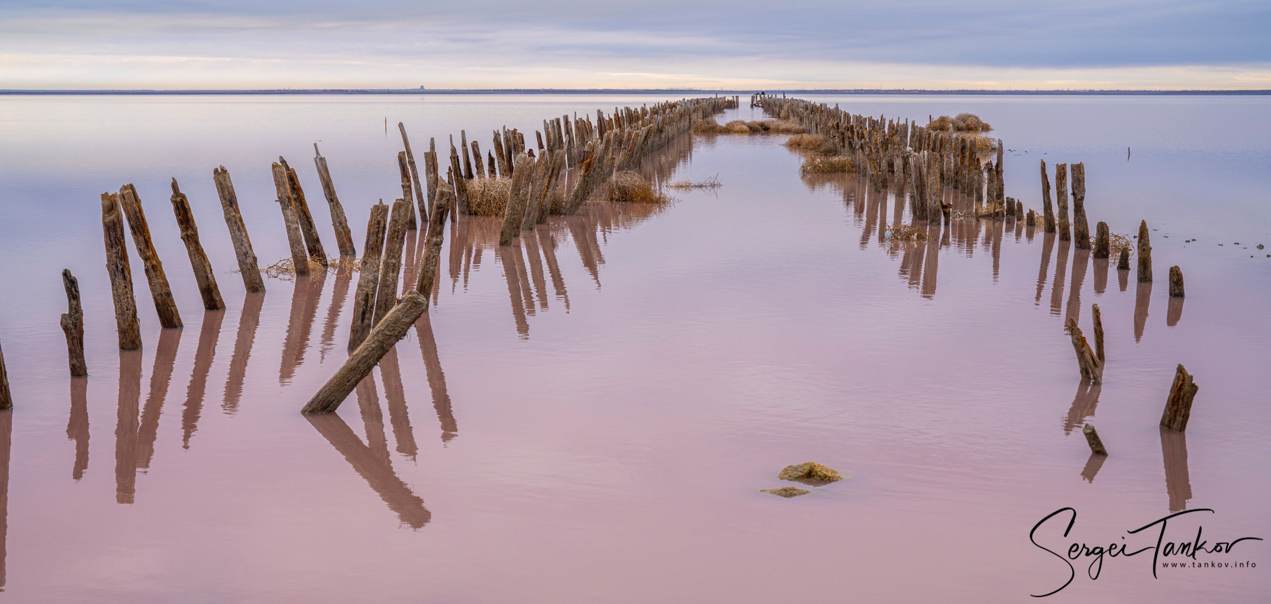 Крым (январь 2020). Фотограф Сергей Танков