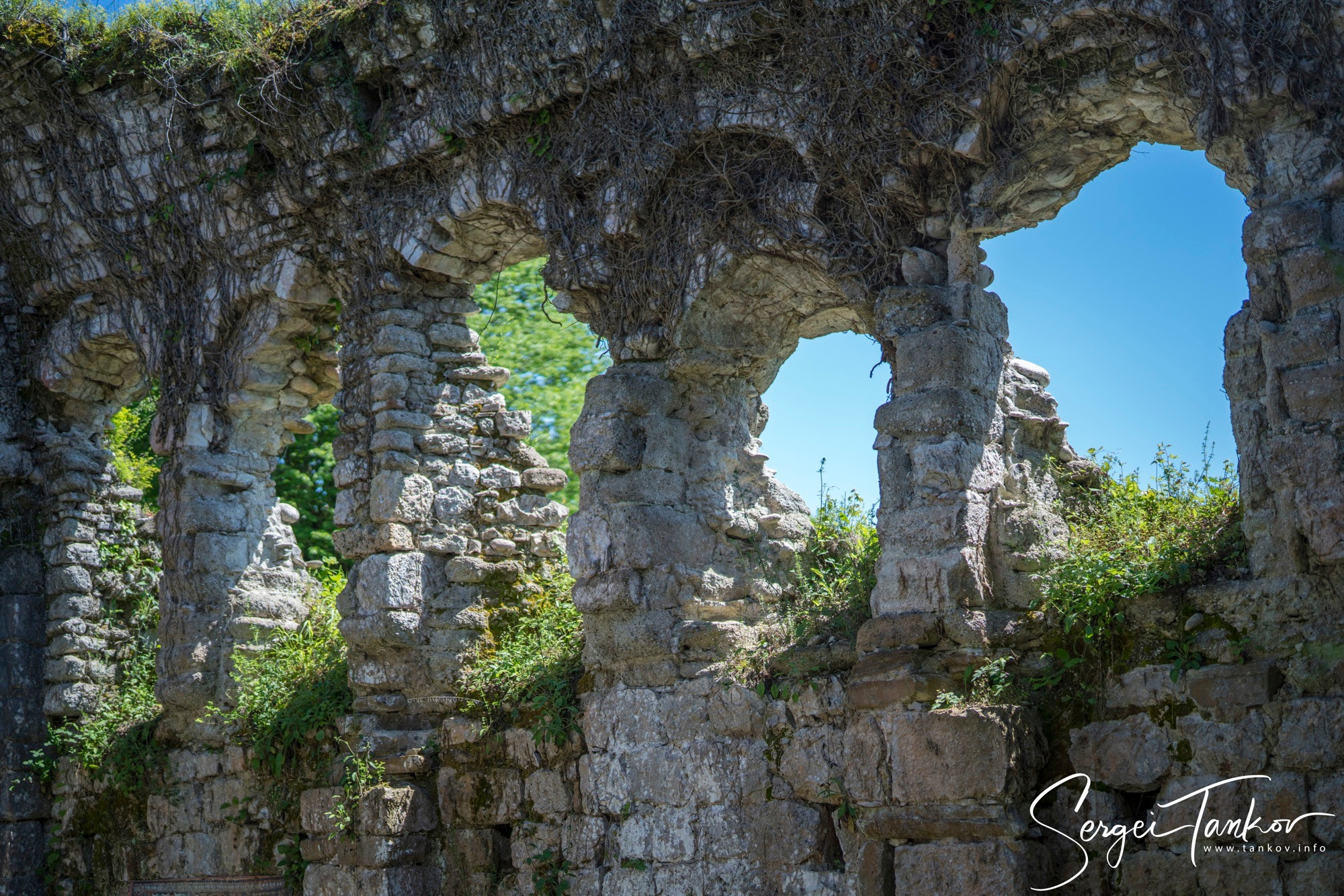Абхазия (май 2019). Фотограф Сергей Танков
