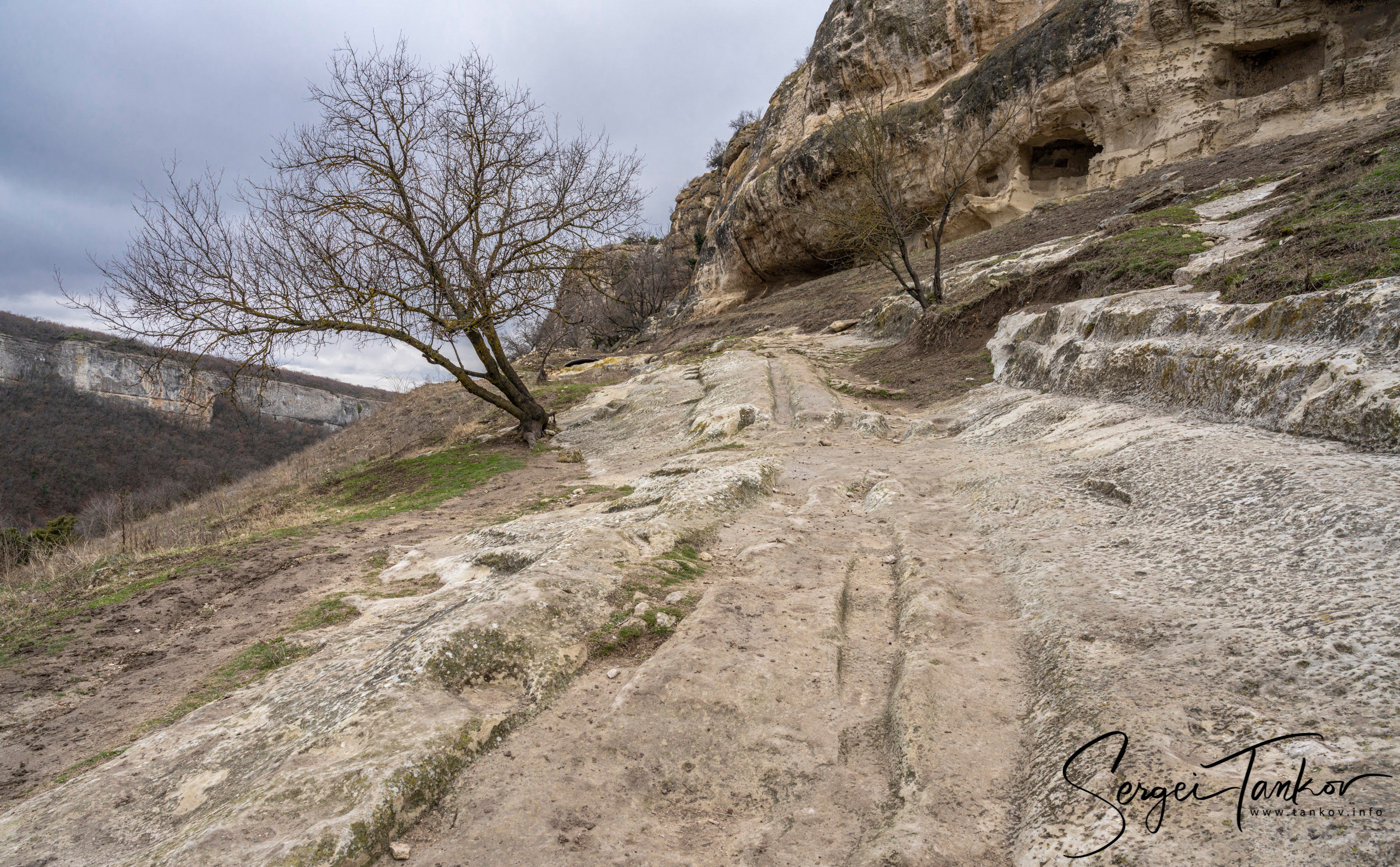 Крым (январь 2020). Фотограф Сергей Танков