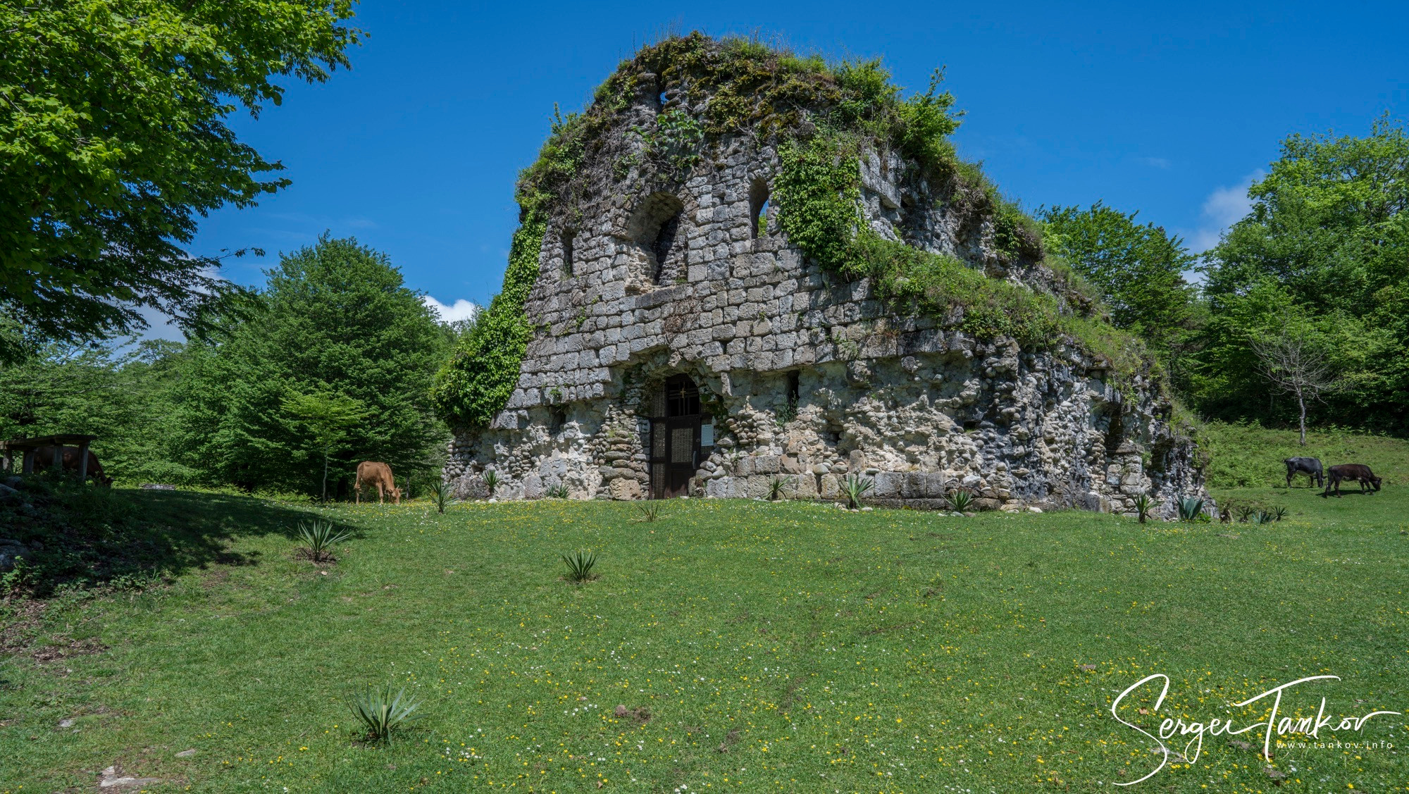 Абхазия (май 2019). Фотограф Сергей Танков