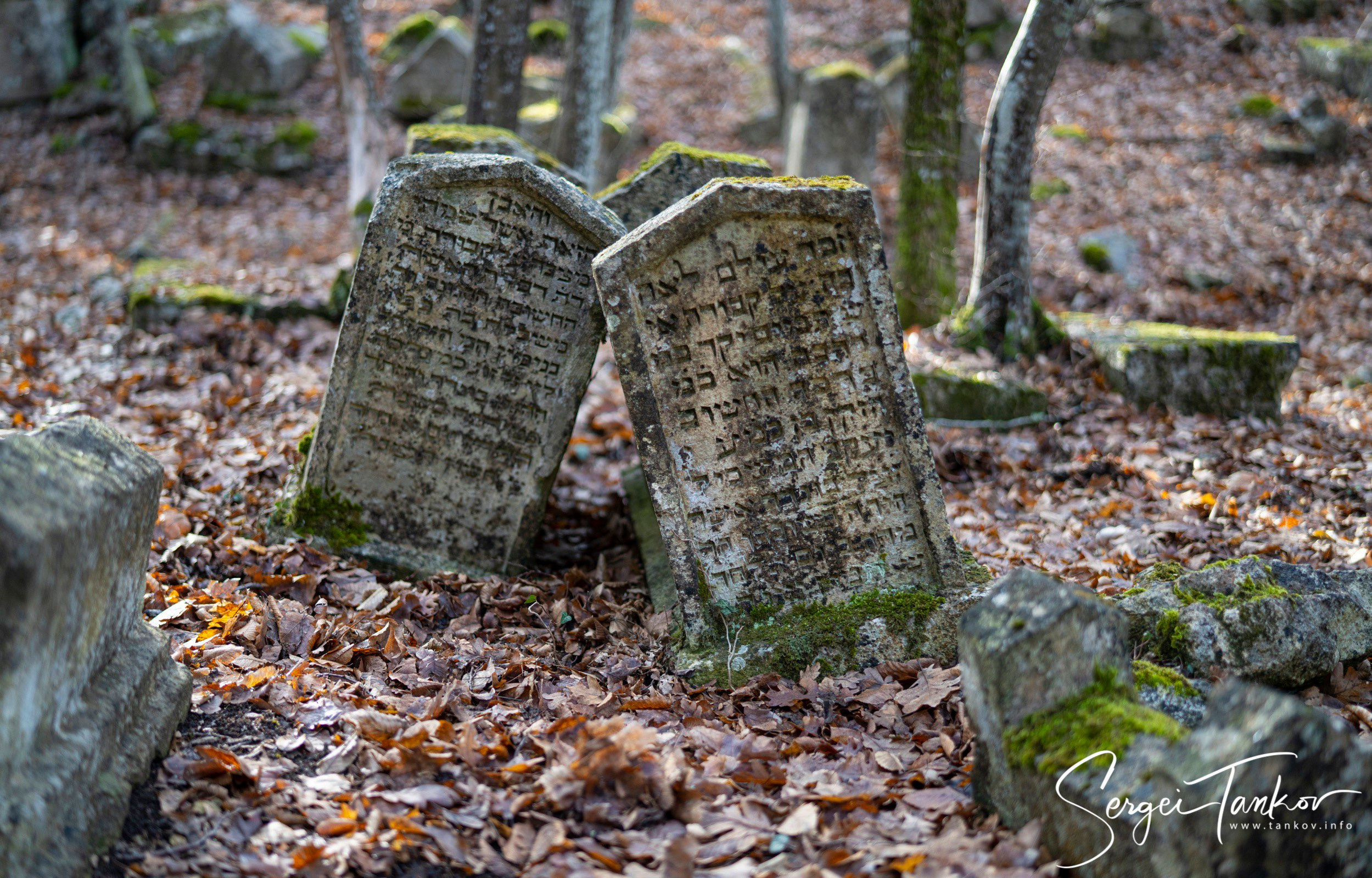 Крым (январь 2020). Фотограф Сергей Танков