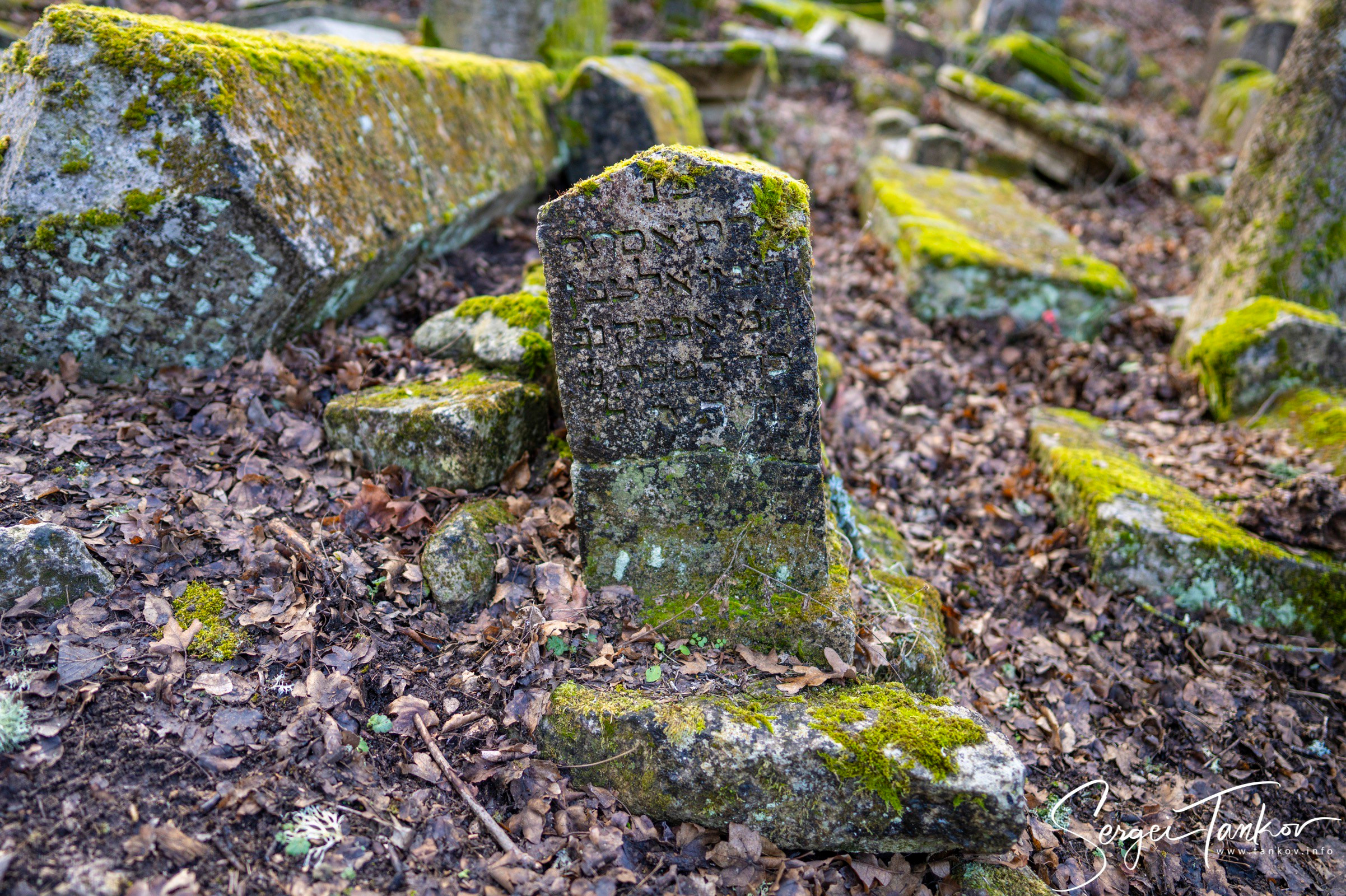 Крым (январь 2020). Фотограф Сергей Танков