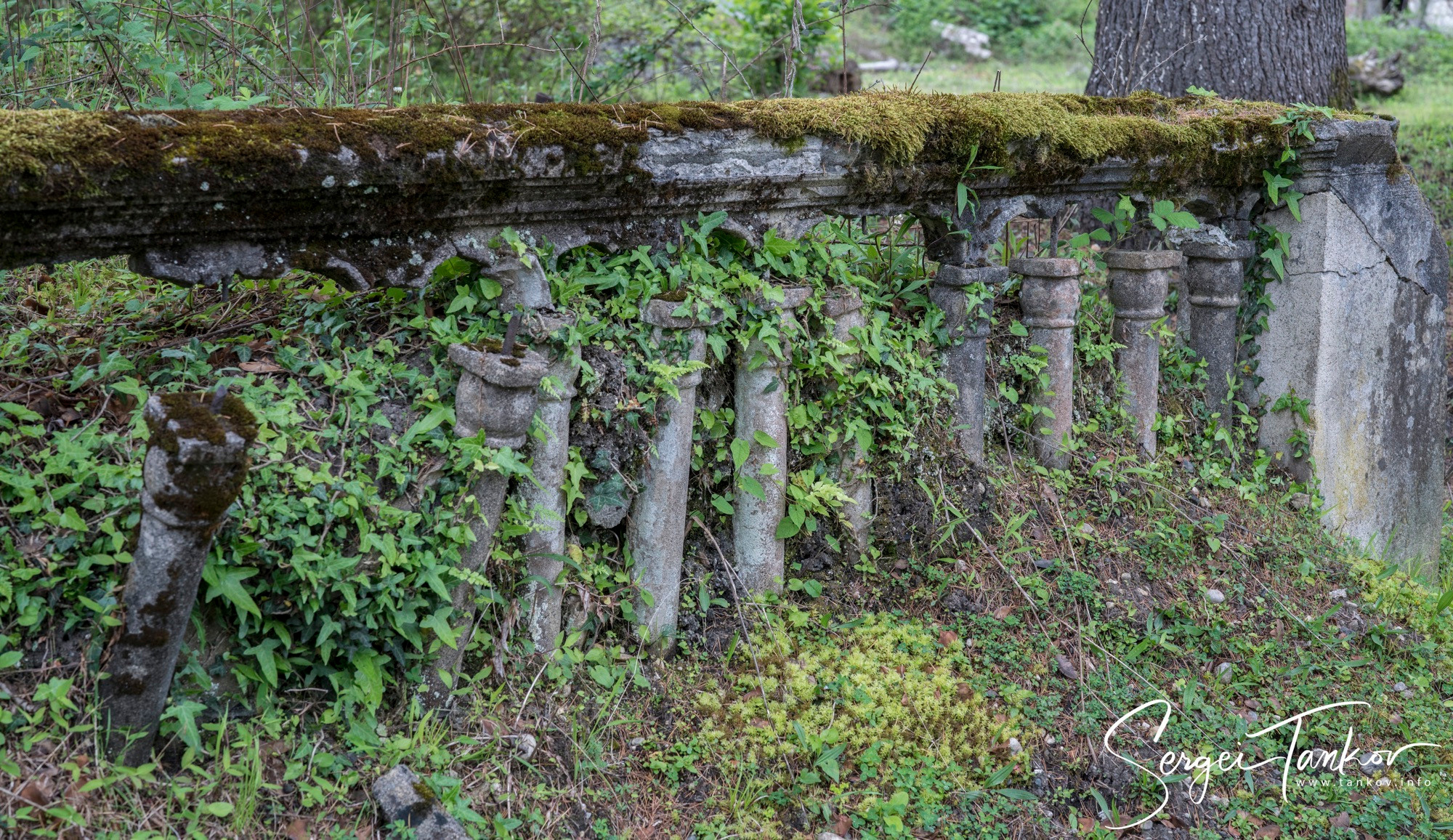 Абхазия (май 2019). Фотограф Сергей Танков